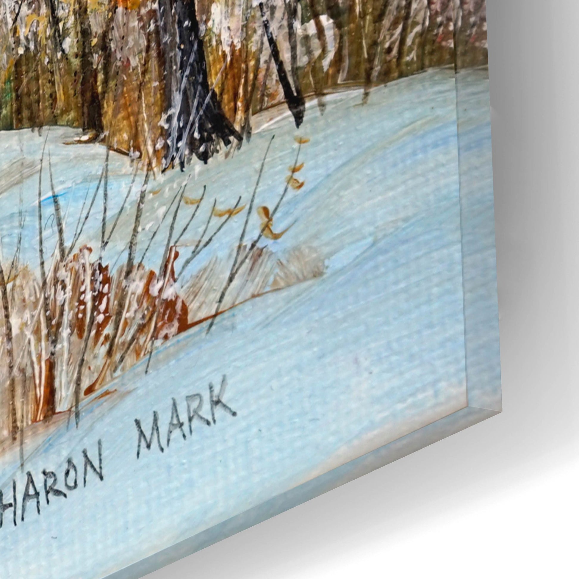 Epic Art 'Winter Path' by Sharon Mark, Acrylic Glass Wall Art,16x12