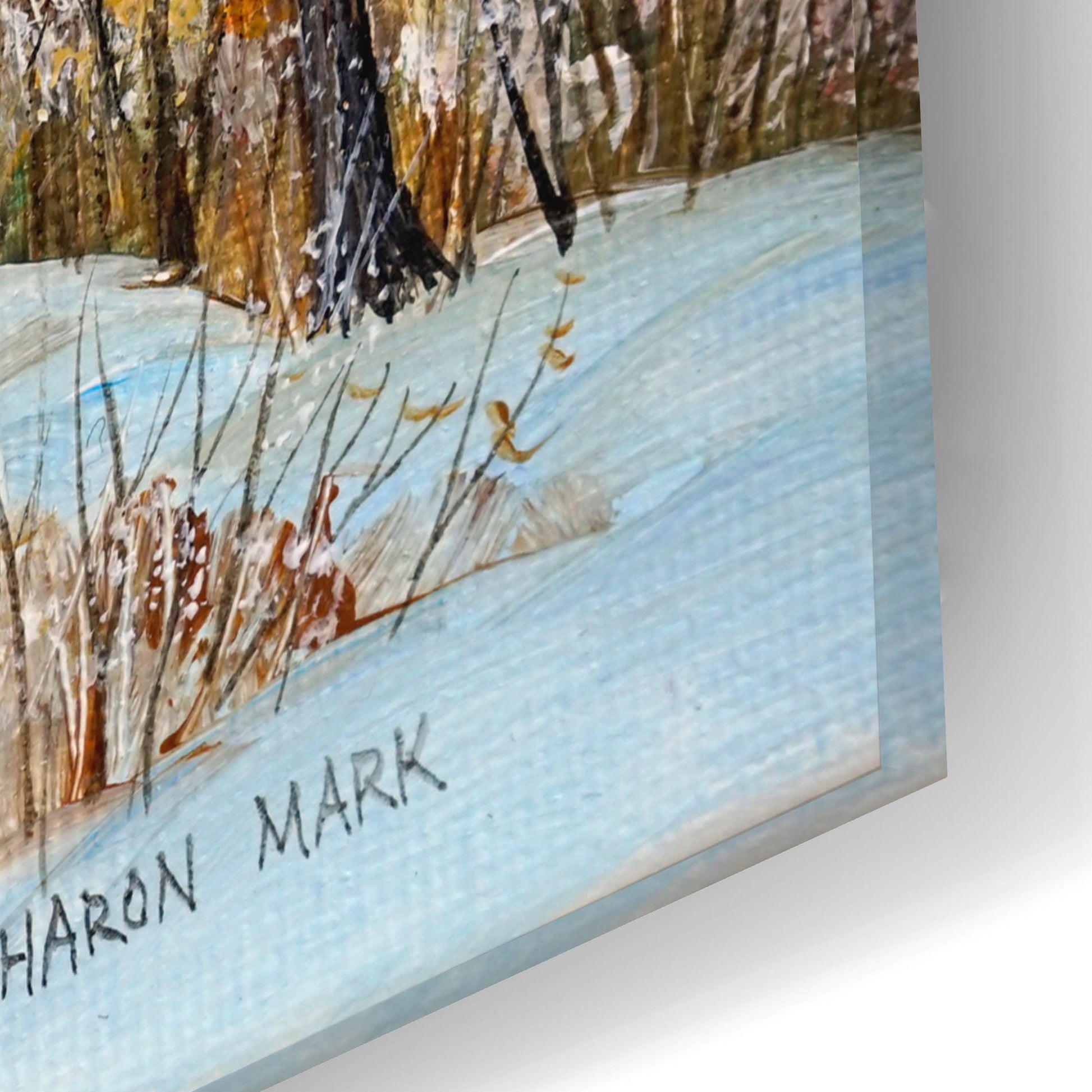 Epic Art 'Winter Path' by Sharon Mark, Acrylic Glass Wall Art,24x16