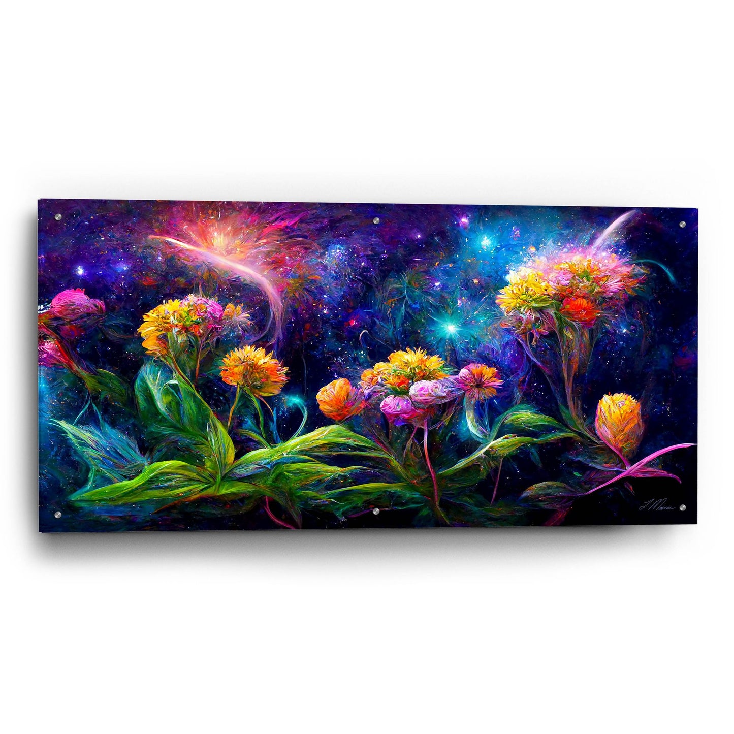 Epic Art 'Flowers in the Universe Color Burst 3' by Tanya Mavric, Acrylic Glass Wall Art,48x24