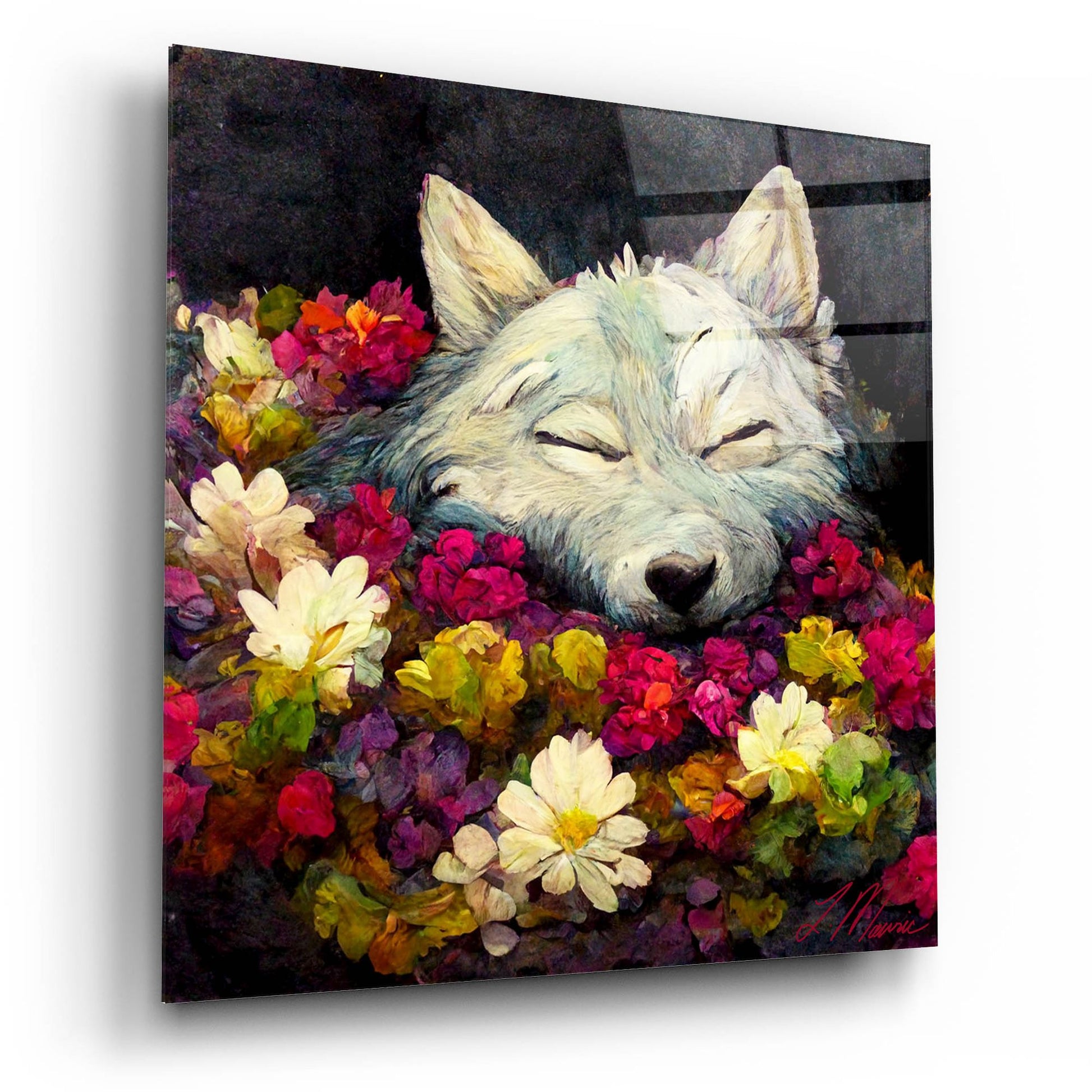 Epic Art 'Sleeping Wolf' by Tanya Mavric, Acrylic Glass Wall Art,12x12