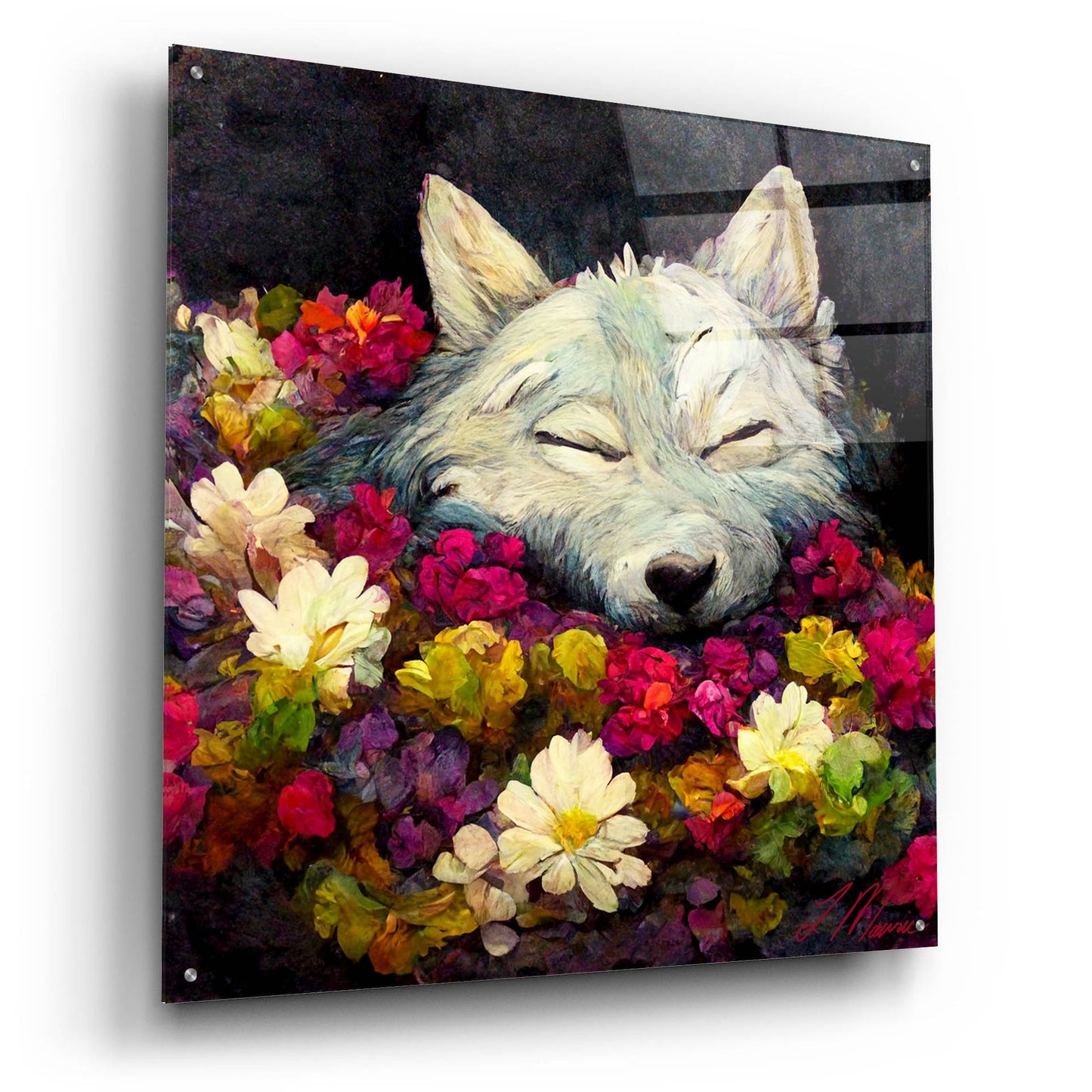 Epic Art 'Sleeping Wolf' by Tanya Mavric, Acrylic Glass Wall Art,36x36