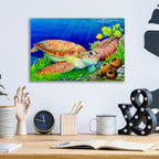 Epic Art 'Escape to Molokini' by Tim Marsh, Acrylic Glass Wall Art,16x12
