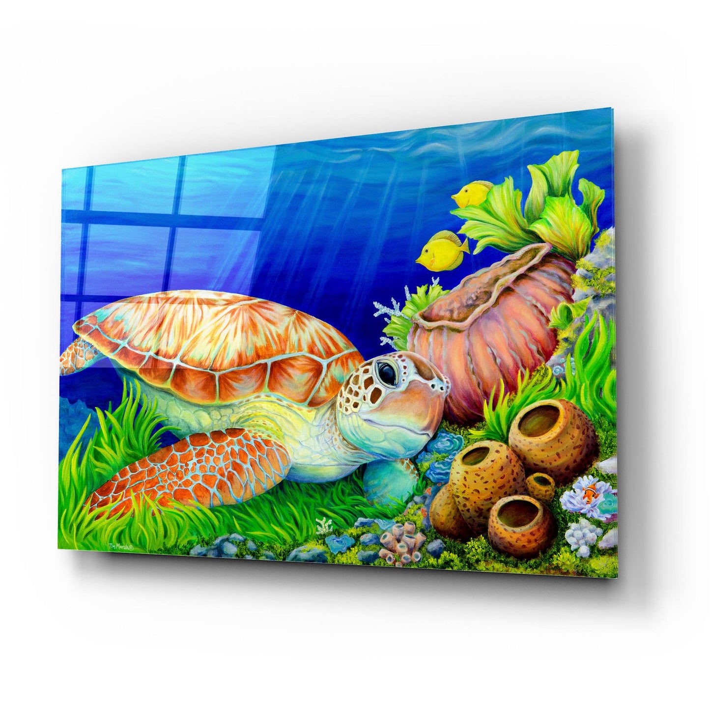 Epic Art 'Escape to Molokini' by Tim Marsh, Acrylic Glass Wall Art,24x16