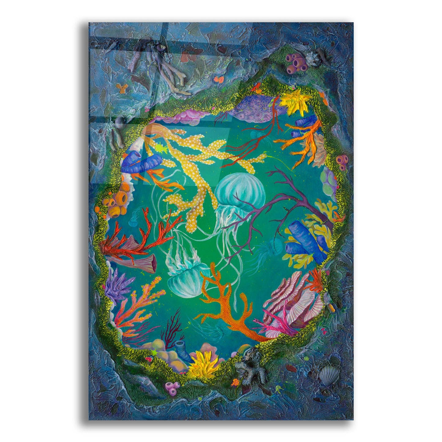 Epic Art 'Looking Into JellyLand' by Tim Marsh, Acrylic Glass Wall Art