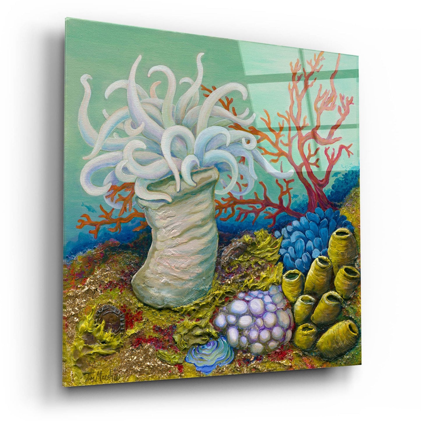 Epic Art 'Anemone Ballet' by Tim Marsh, Acrylic Glass Wall Art,12x12