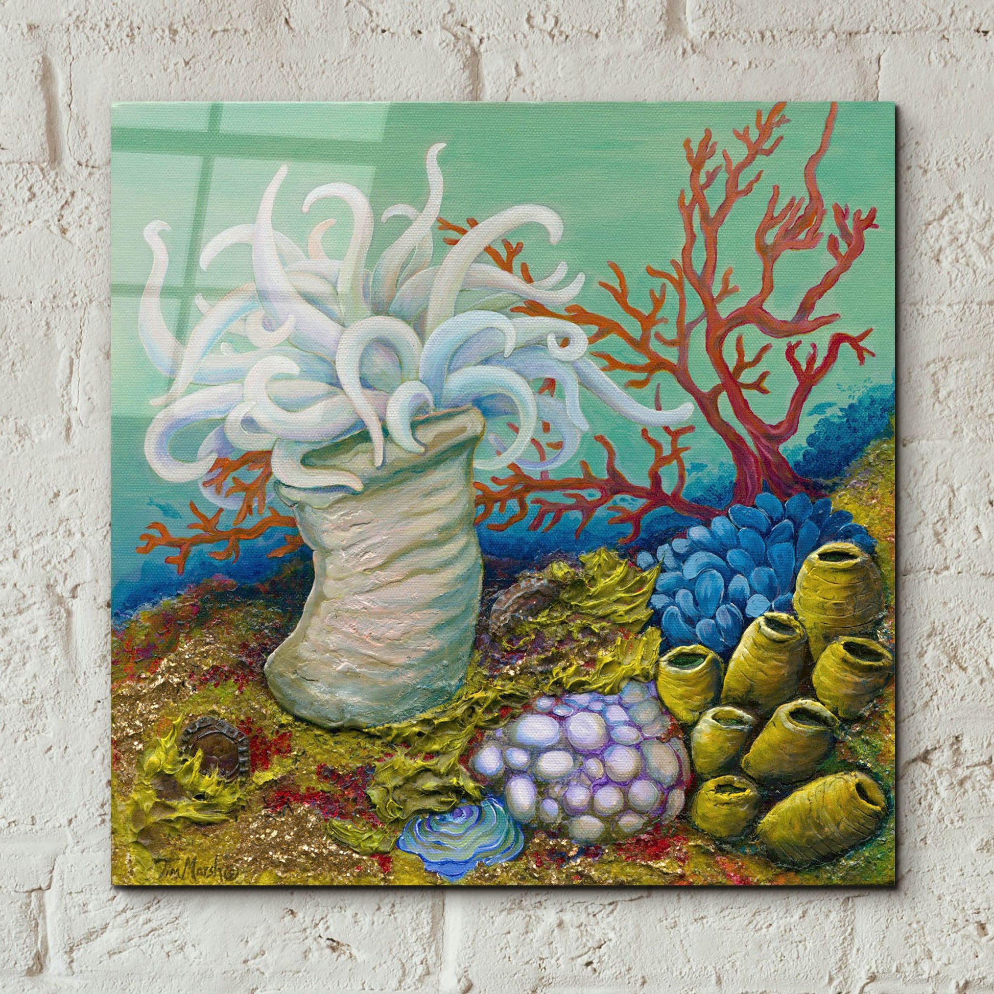 Epic Art 'Anemone Ballet' by Tim Marsh, Acrylic Glass Wall Art,12x12