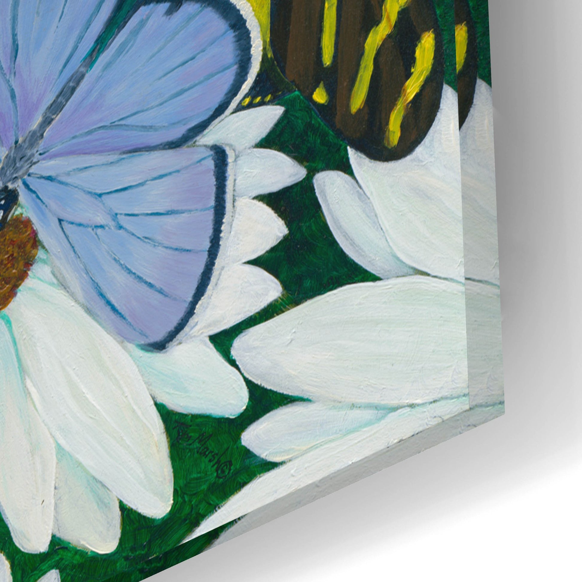 Epic Art 'Butterfly Collage' by Tim Marsh, Acrylic Glass Wall Art,24x16