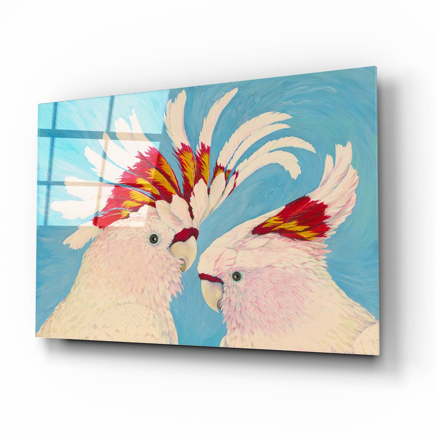 Epic Art 'Major Mitchell's Cockatoos' by Tim Marsh, Acrylic Glass Wall Art,16x12