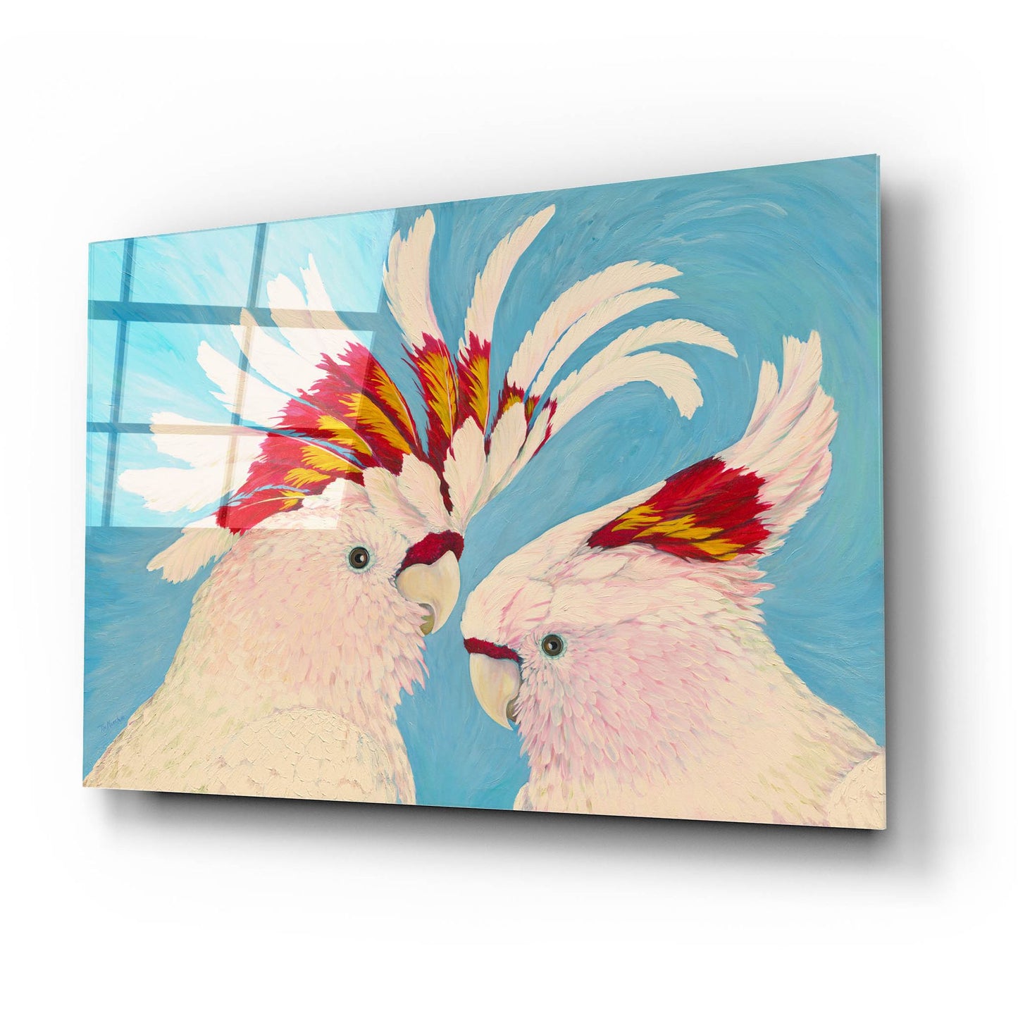 Epic Art 'Major Mitchell's Cockatoos' by Tim Marsh, Acrylic Glass Wall Art,24x16