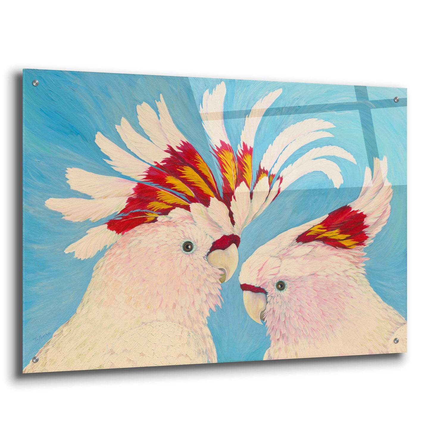 Epic Art 'Major Mitchell's Cockatoos' by Tim Marsh, Acrylic Glass Wall Art,36x24