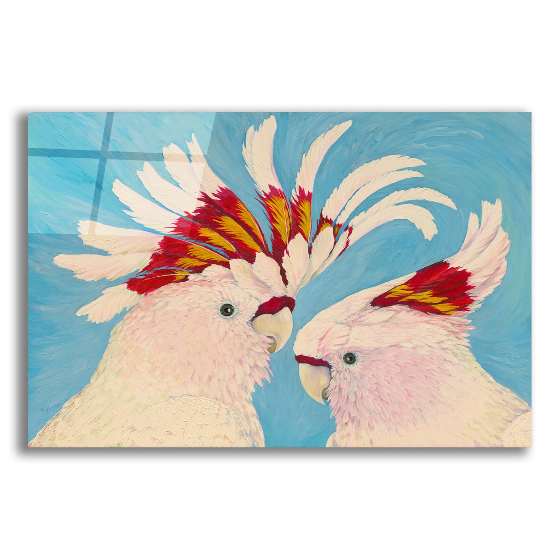 Epic Art 'Major Mitchell's Cockatoos' by Tim Marsh, Acrylic Glass Wall Art