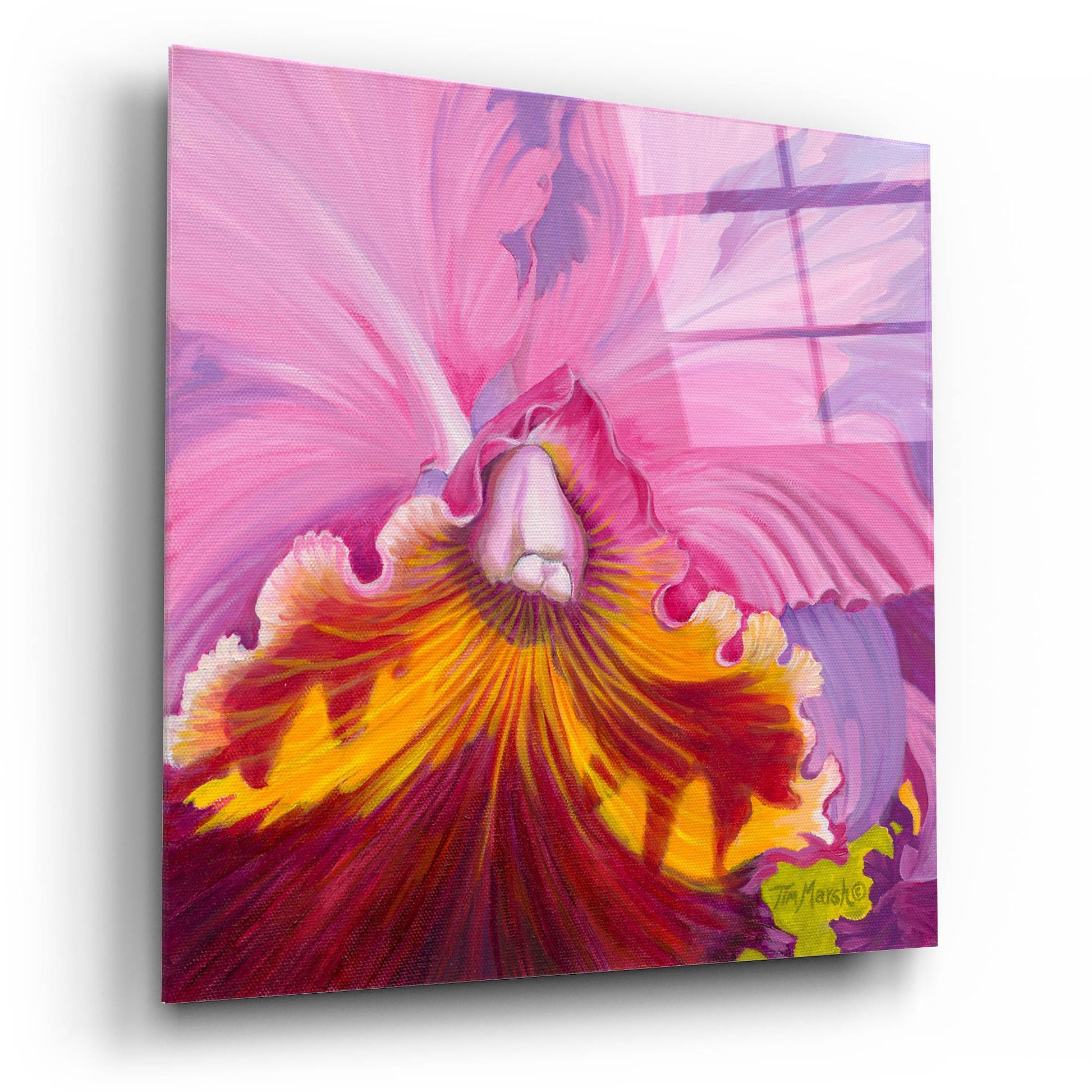 Epic Art 'Orchid Series 1' by Tim Marsh, Acrylic Glass Wall Art,12x12