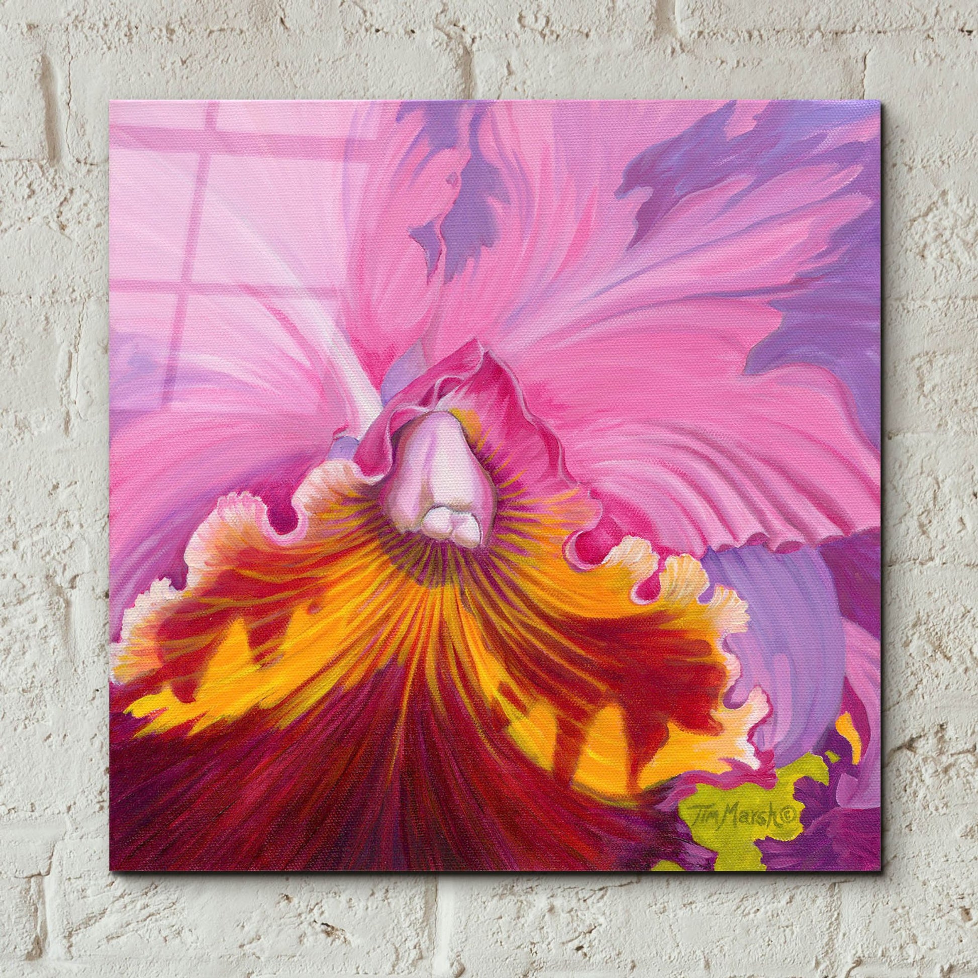 Epic Art 'Orchid Series 1' by Tim Marsh, Acrylic Glass Wall Art,12x12