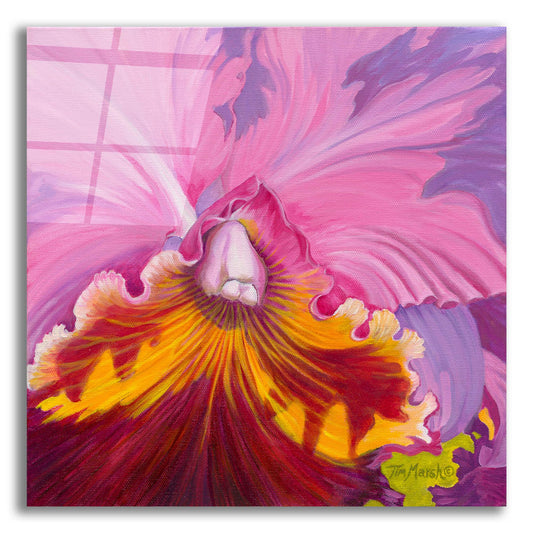 Epic Art 'Orchid Series 1' by Tim Marsh, Acrylic Glass Wall Art