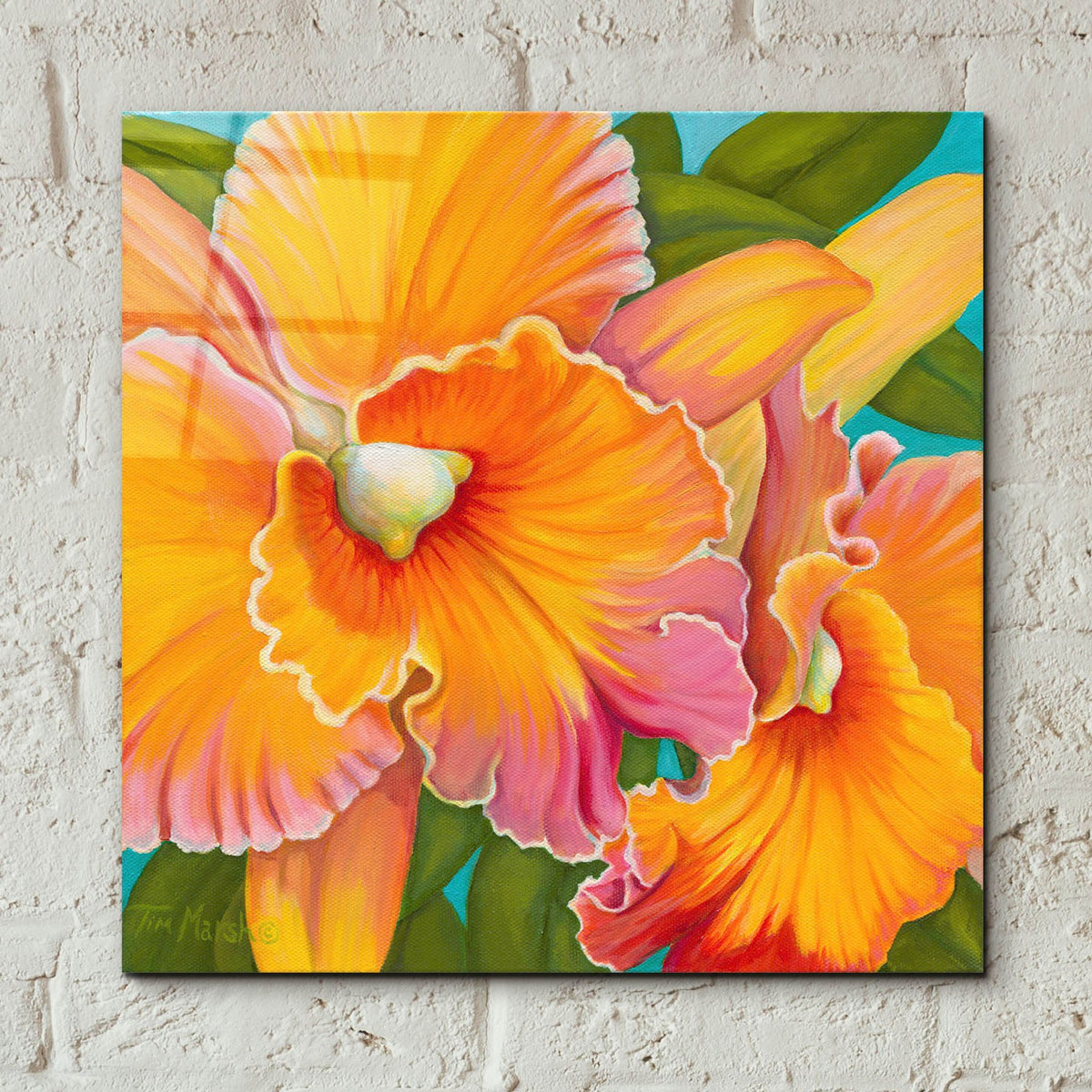 Epic Art 'Orchid Series 2' by Tim Marsh, Acrylic Glass Wall Art,12x12