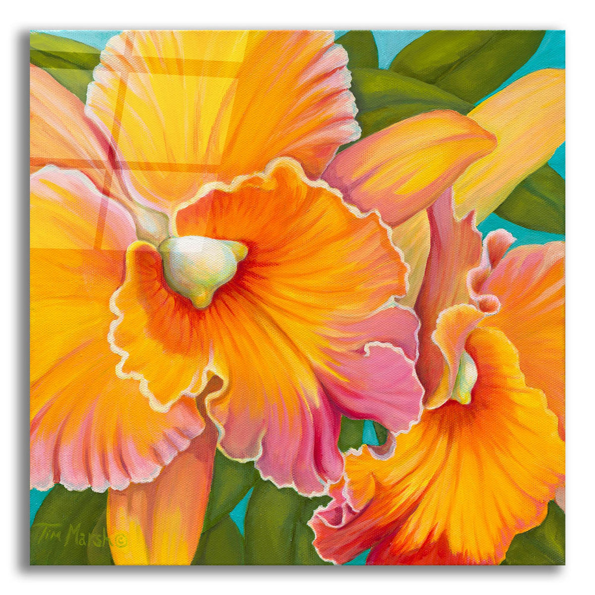 Epic Art 'Orchid Series 2' by Tim Marsh, Acrylic Glass Wall Art