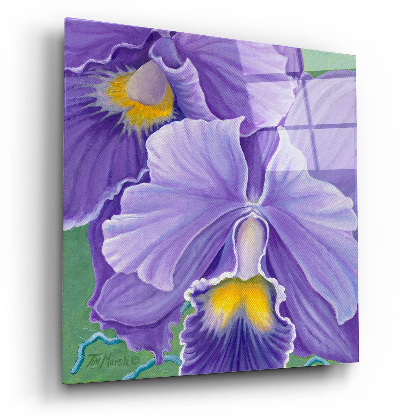 Epic Art 'Orchid Series 3' by Tim Marsh, Acrylic Glass Wall Art,12x12