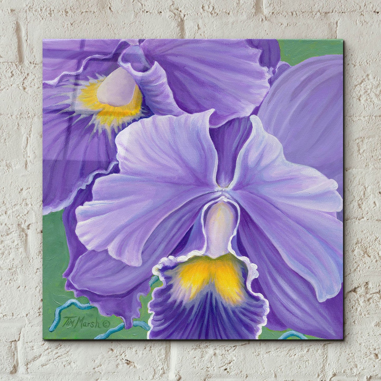 Epic Art 'Orchid Series 3' by Tim Marsh, Acrylic Glass Wall Art,12x12