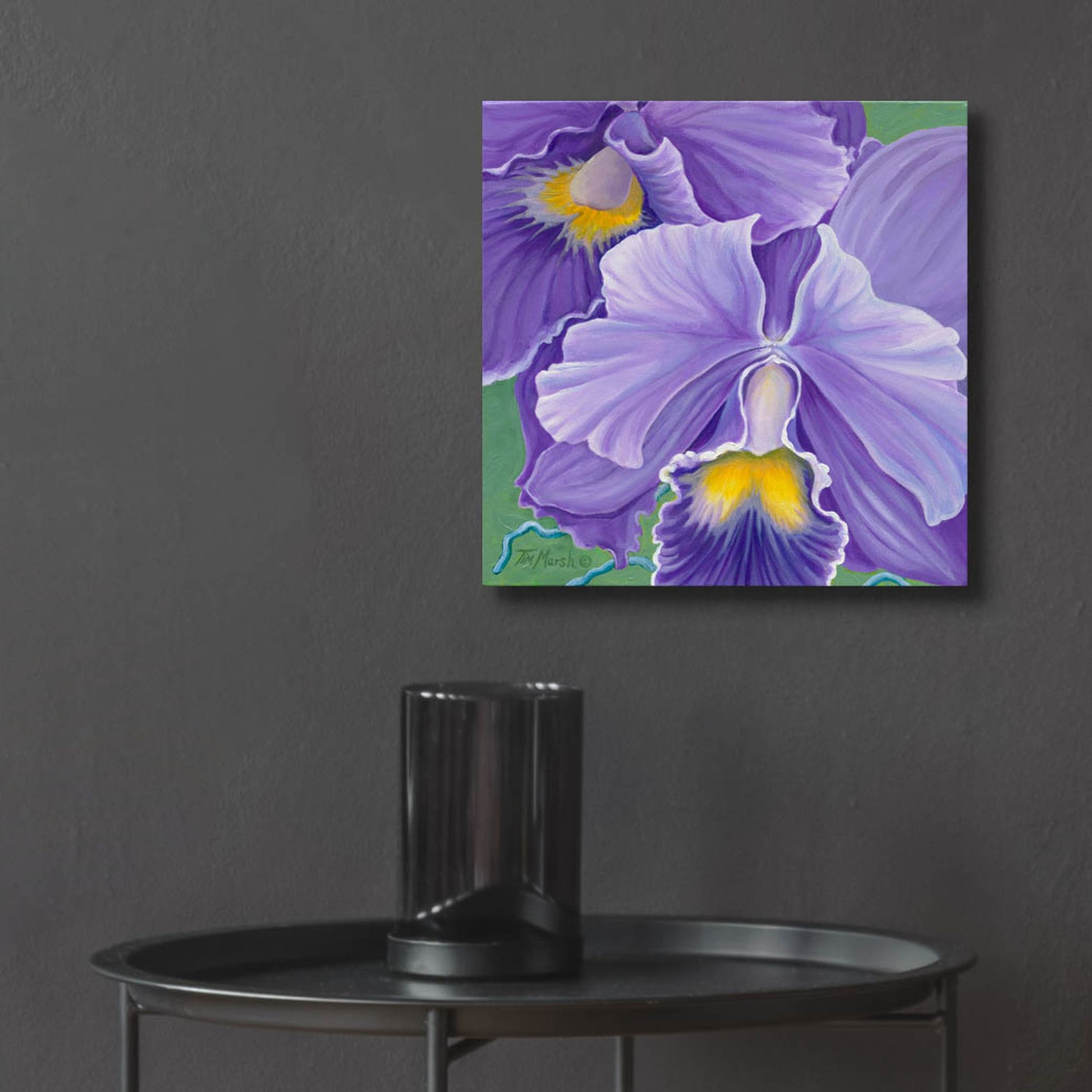 Epic Art 'Orchid Series 3' by Tim Marsh, Acrylic Glass Wall Art,12x12