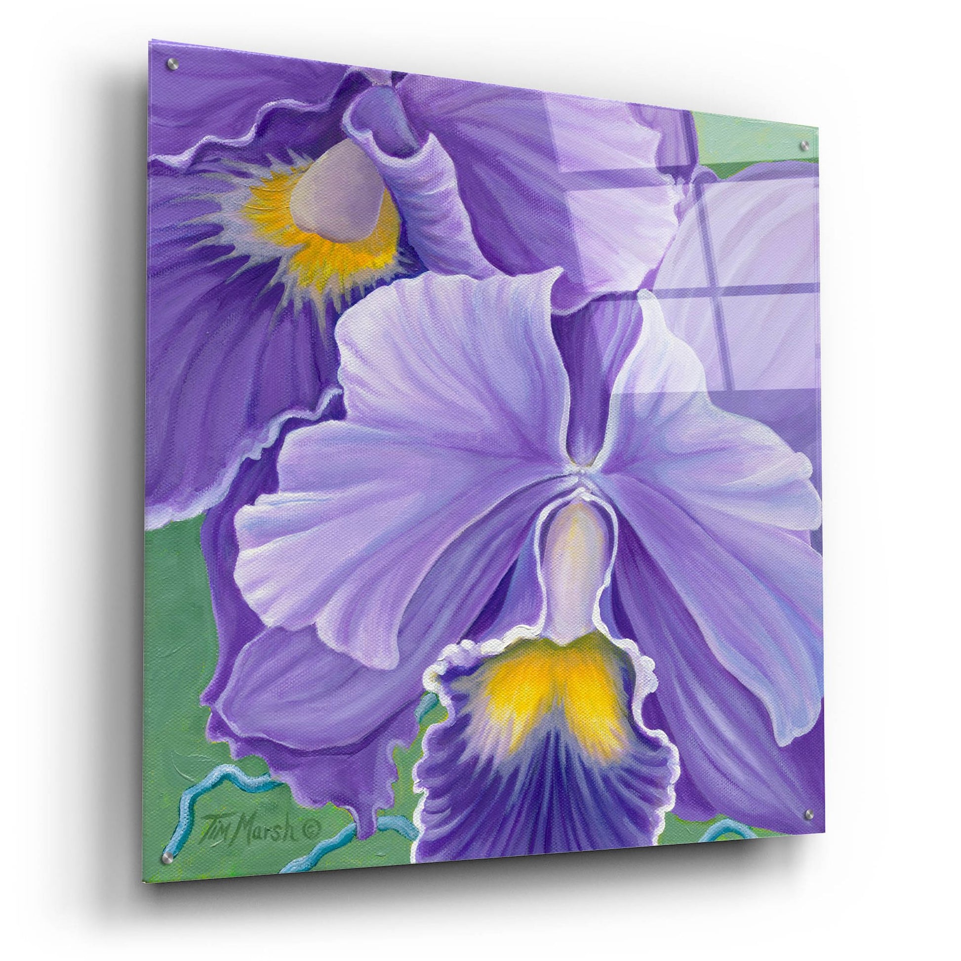 Epic Art 'Orchid Series 3' by Tim Marsh, Acrylic Glass Wall Art,36x36