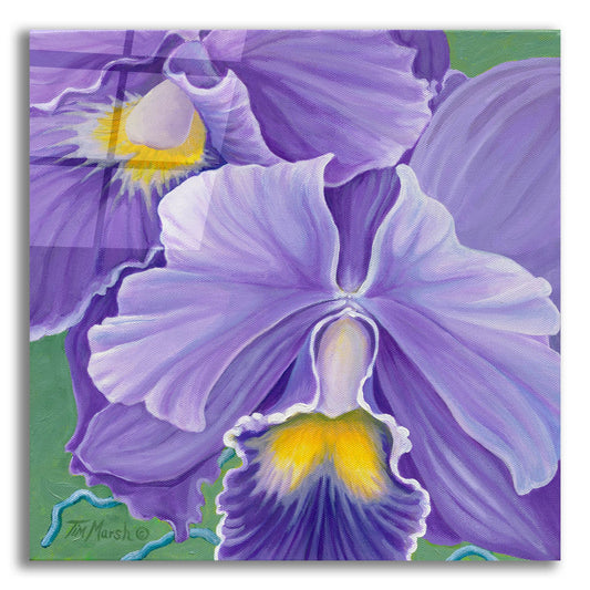Epic Art 'Orchid Series 3' by Tim Marsh, Acrylic Glass Wall Art