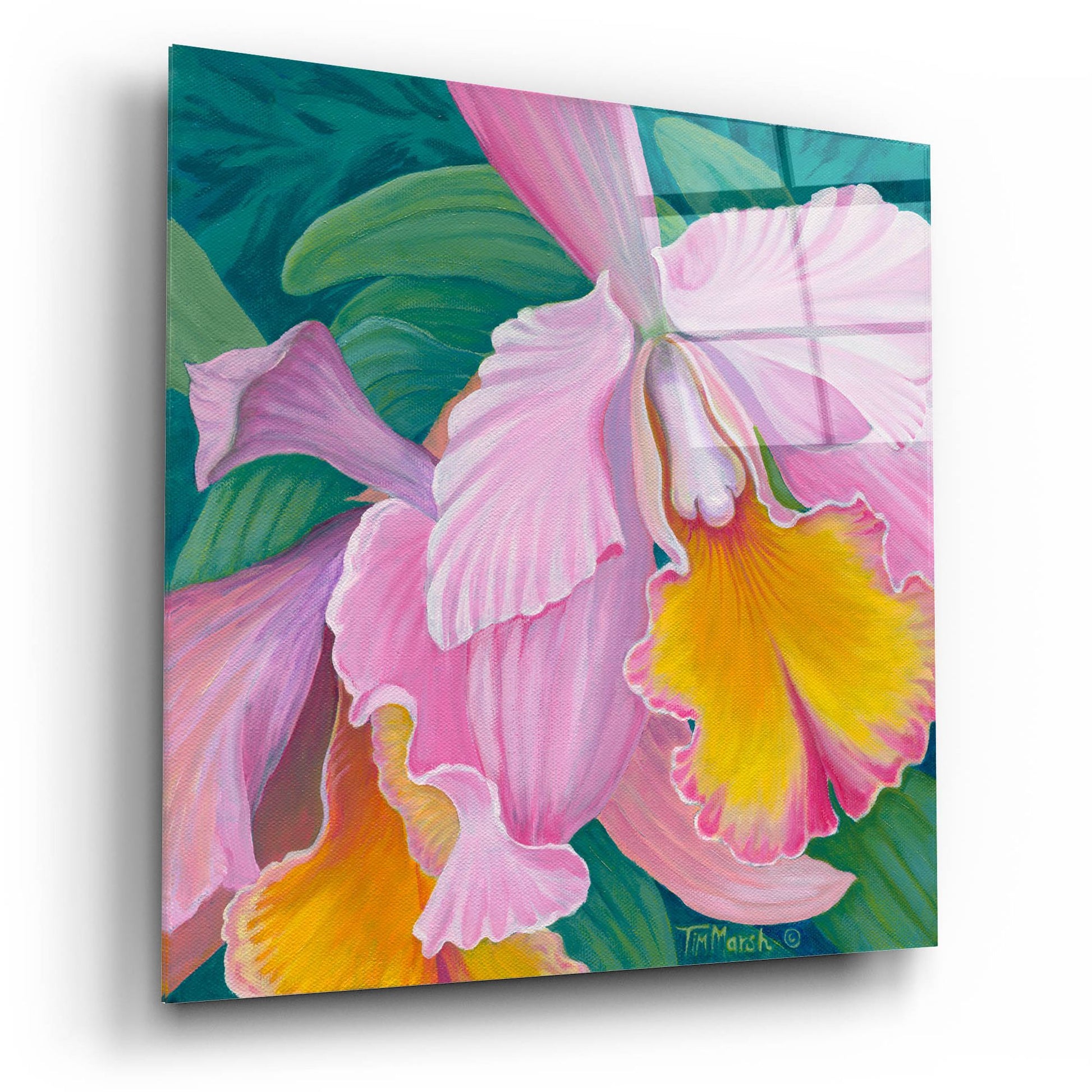 Epic Art 'Orchid Series 4' by Tim Marsh, Acrylic Glass Wall Art,12x12