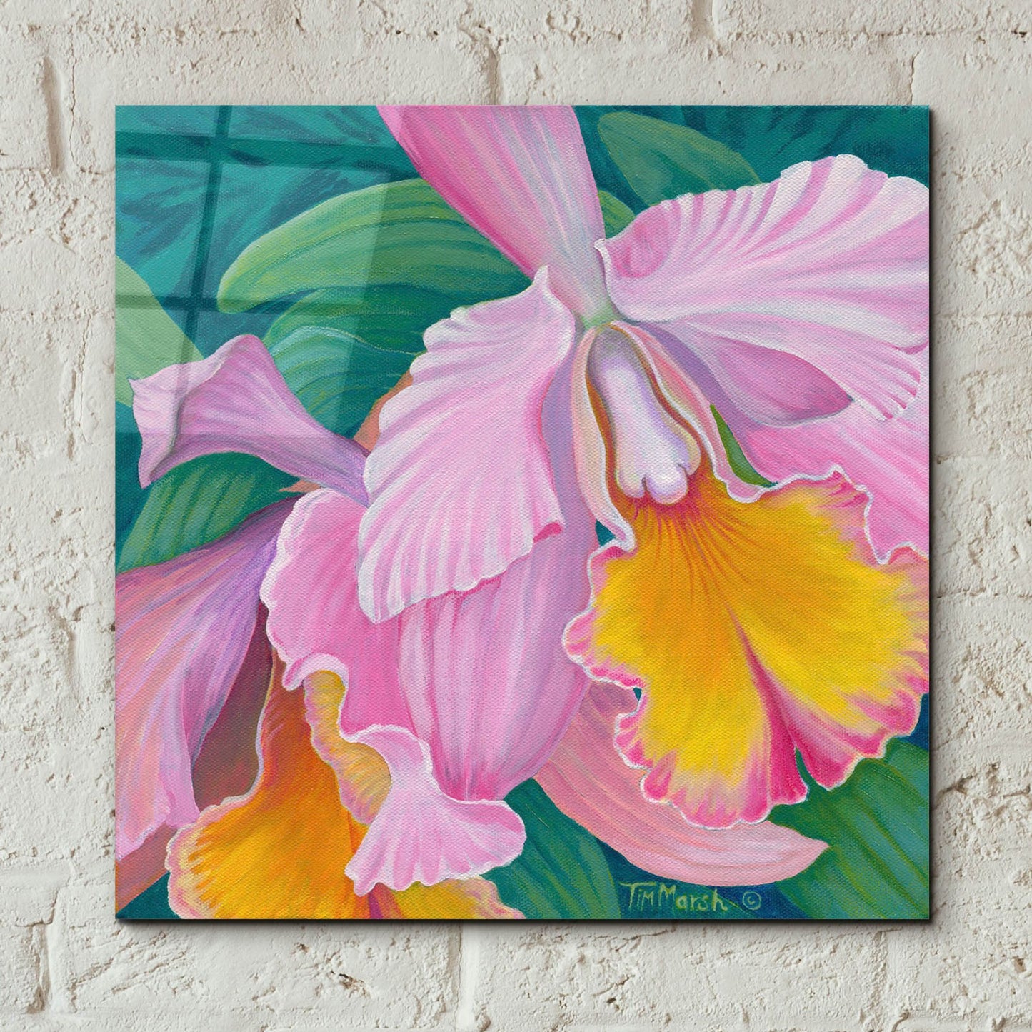 Epic Art 'Orchid Series 4' by Tim Marsh, Acrylic Glass Wall Art,12x12