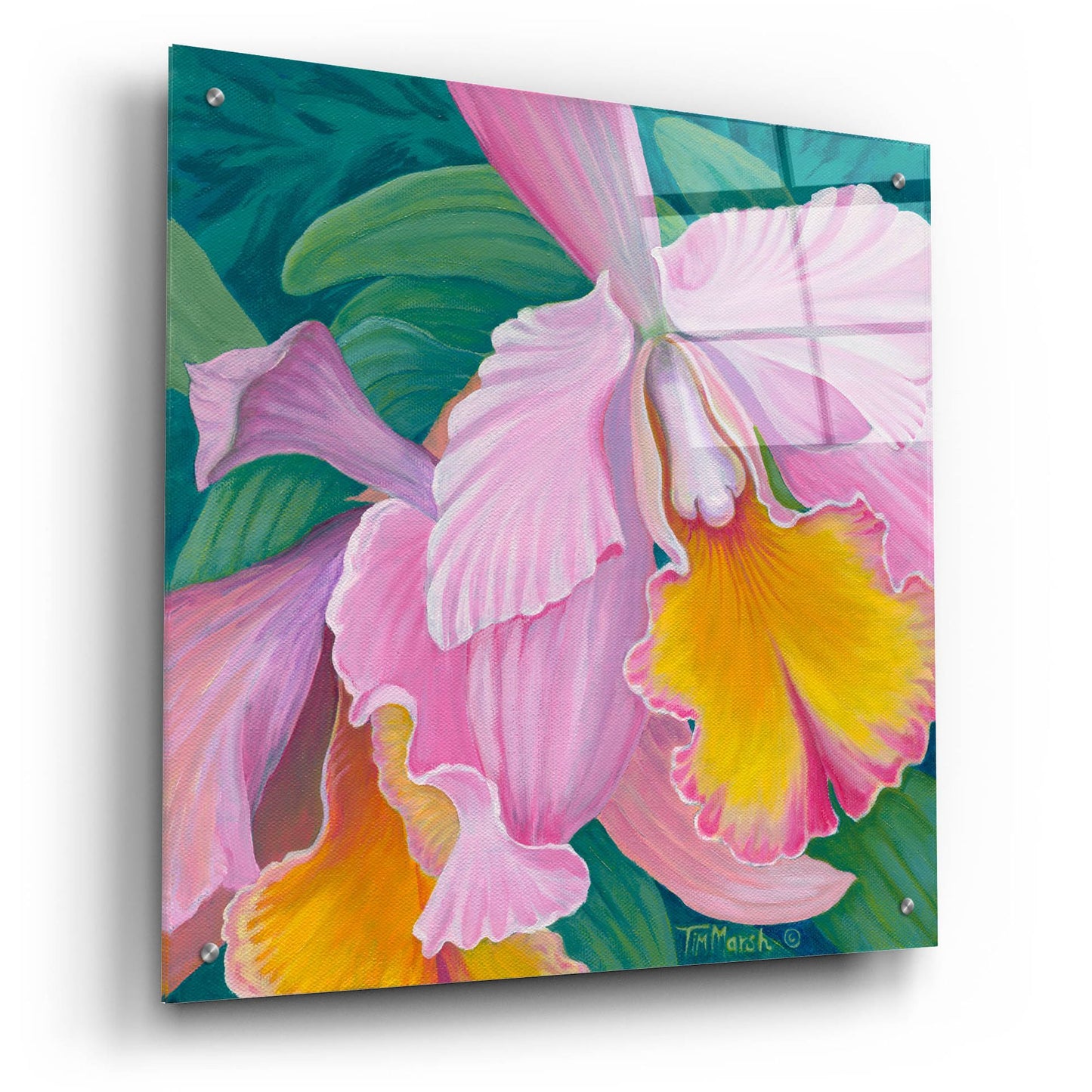 Epic Art 'Orchid Series 4' by Tim Marsh, Acrylic Glass Wall Art,24x24