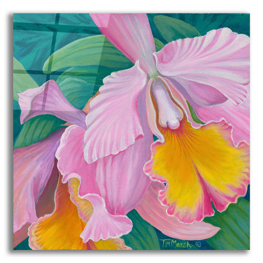 Epic Art 'Orchid Series 4' by Tim Marsh, Acrylic Glass Wall Art