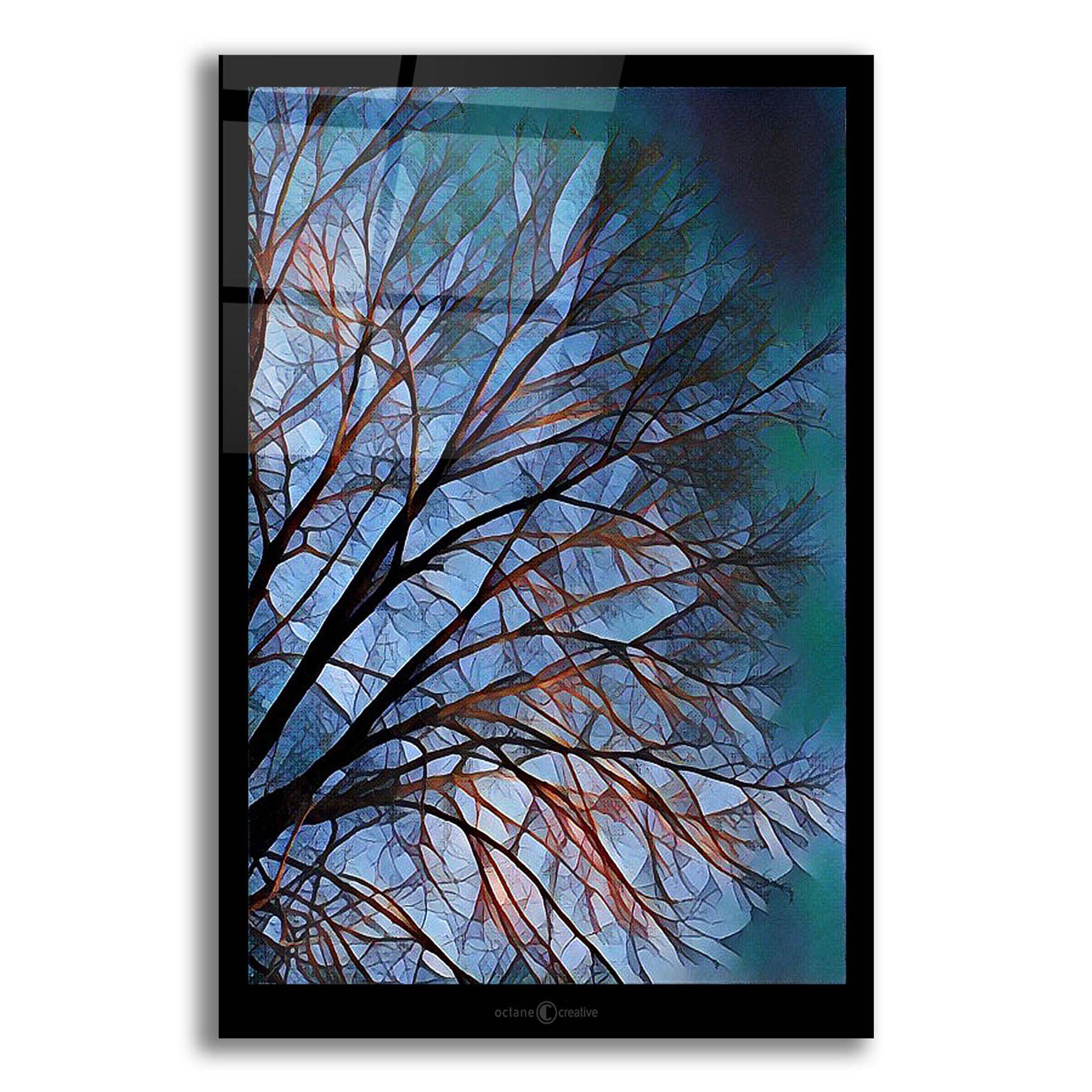 Epic Art 'Early Evening Tree' by Tim Nyberg, Acrylic Glass Wall Art