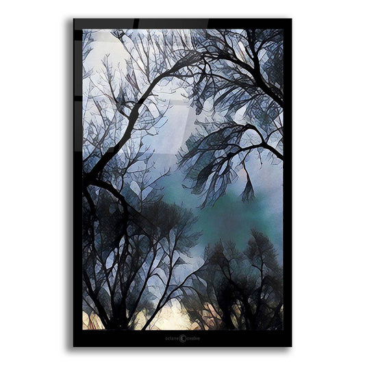 Epic Art 'End Of Day Winter Trees' by Tim Nyberg, Acrylic Glass Wall Art