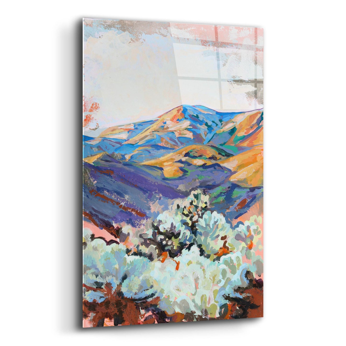 Epic Art 'Desert Cholla at Sunset' by Victoria Macmillan, Acrylic Glass Wall Art,12x16