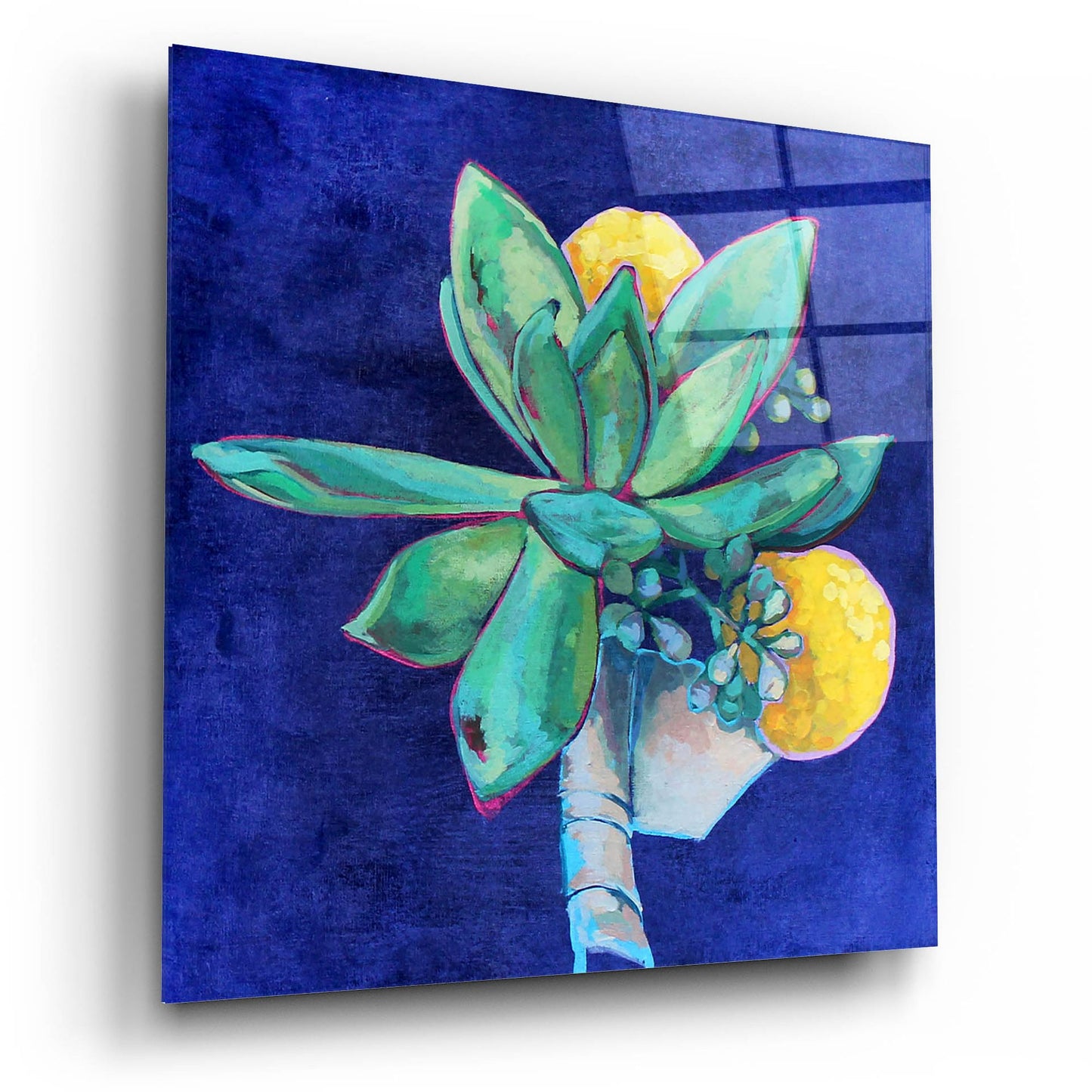 Epic Art 'Succulent Boutonniere' by Victoria Macmillan, Acrylic Glass Wall Art,12x12