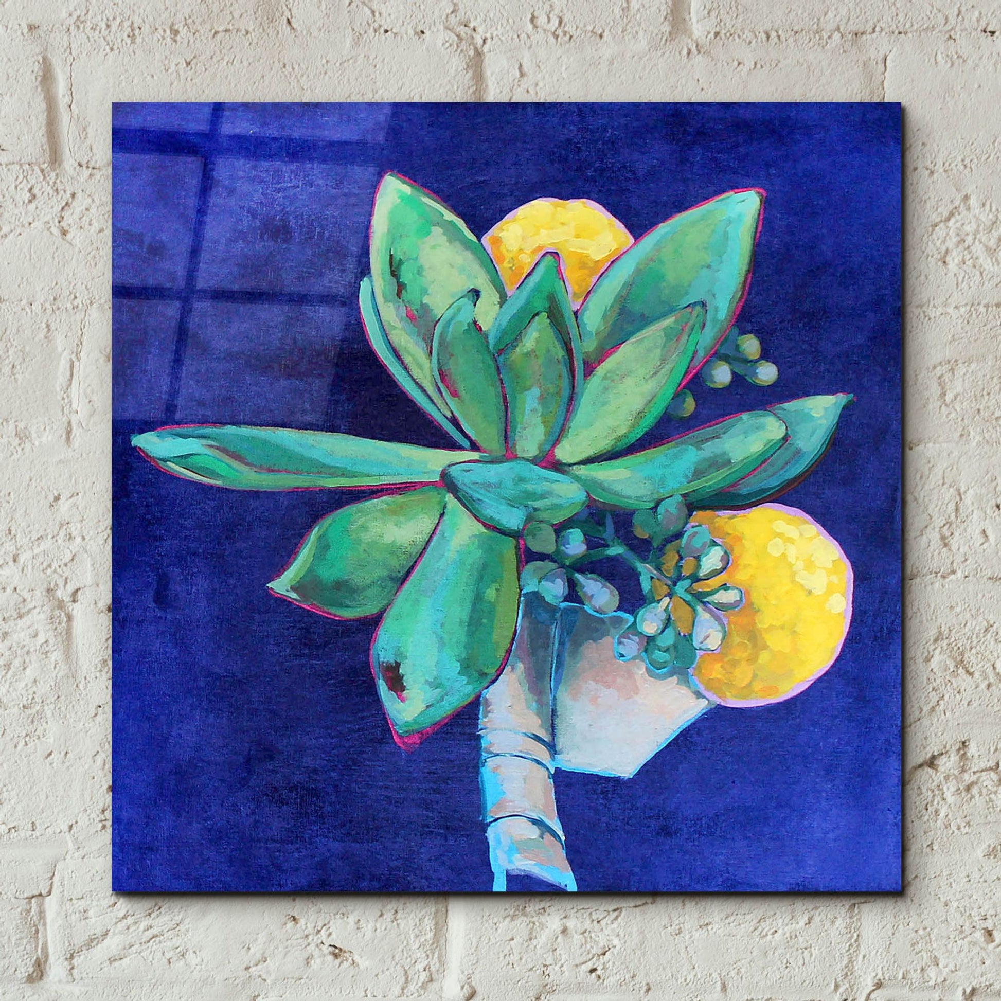 Epic Art 'Succulent Boutonniere' by Victoria Macmillan, Acrylic Glass Wall Art,12x12