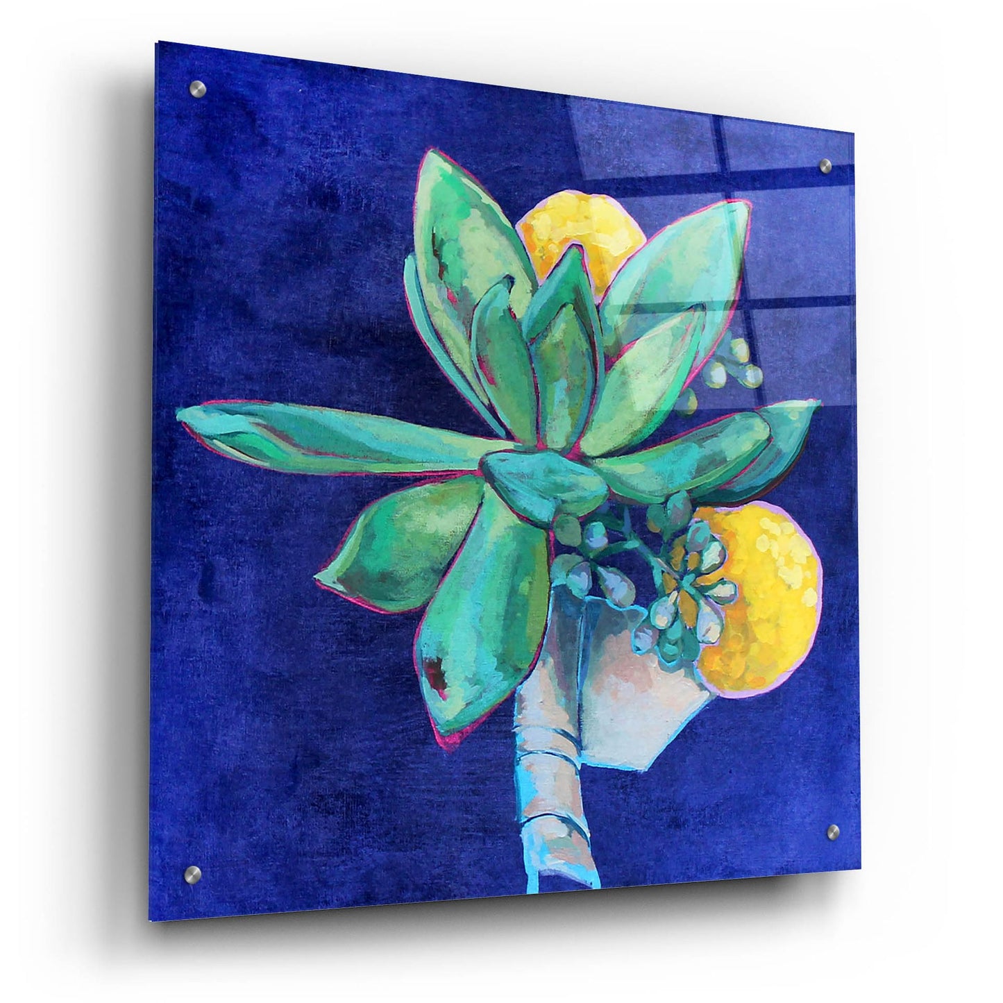 Epic Art 'Succulent Boutonniere' by Victoria Macmillan, Acrylic Glass Wall Art,24x24