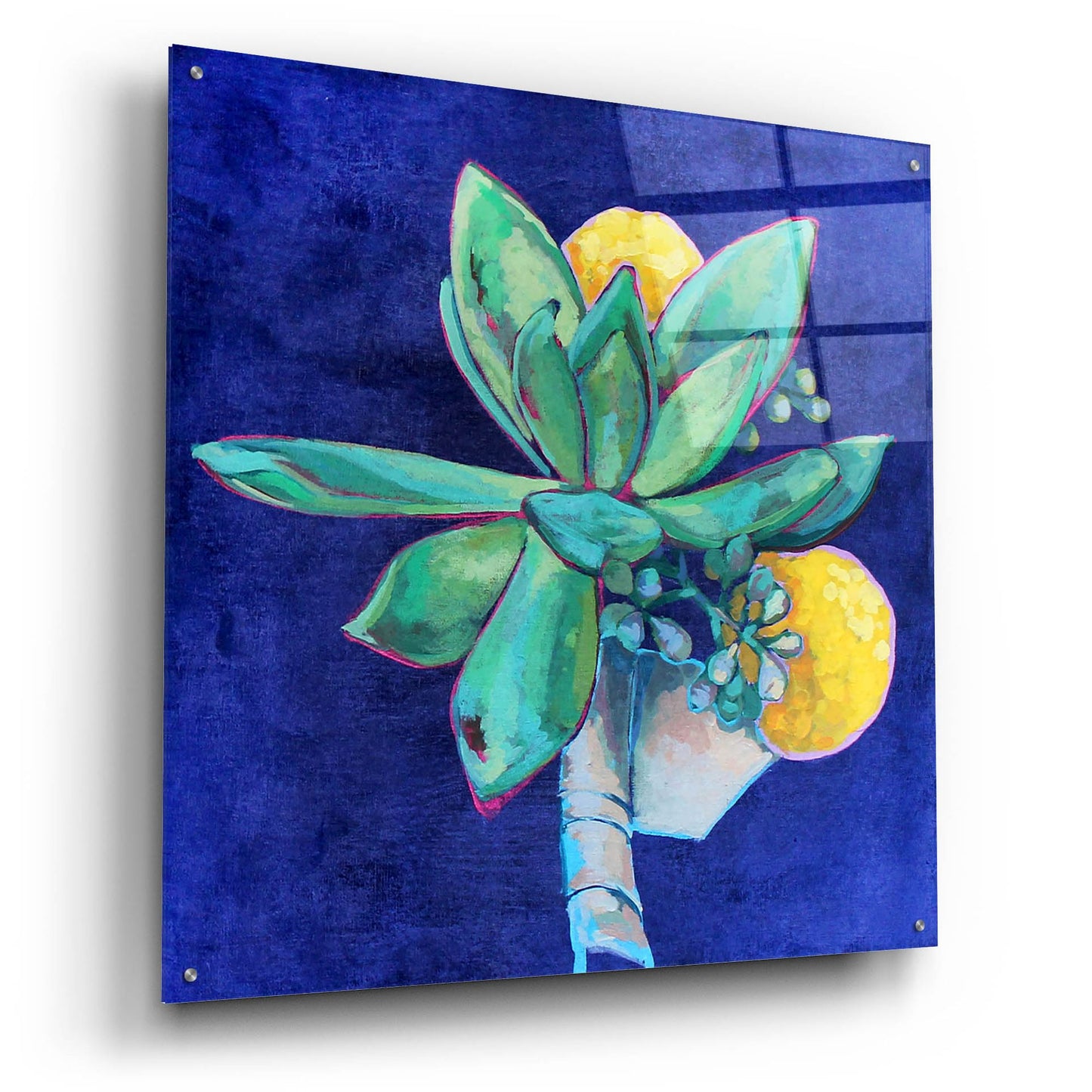 Epic Art 'Succulent Boutonniere' by Victoria Macmillan, Acrylic Glass Wall Art,36x36