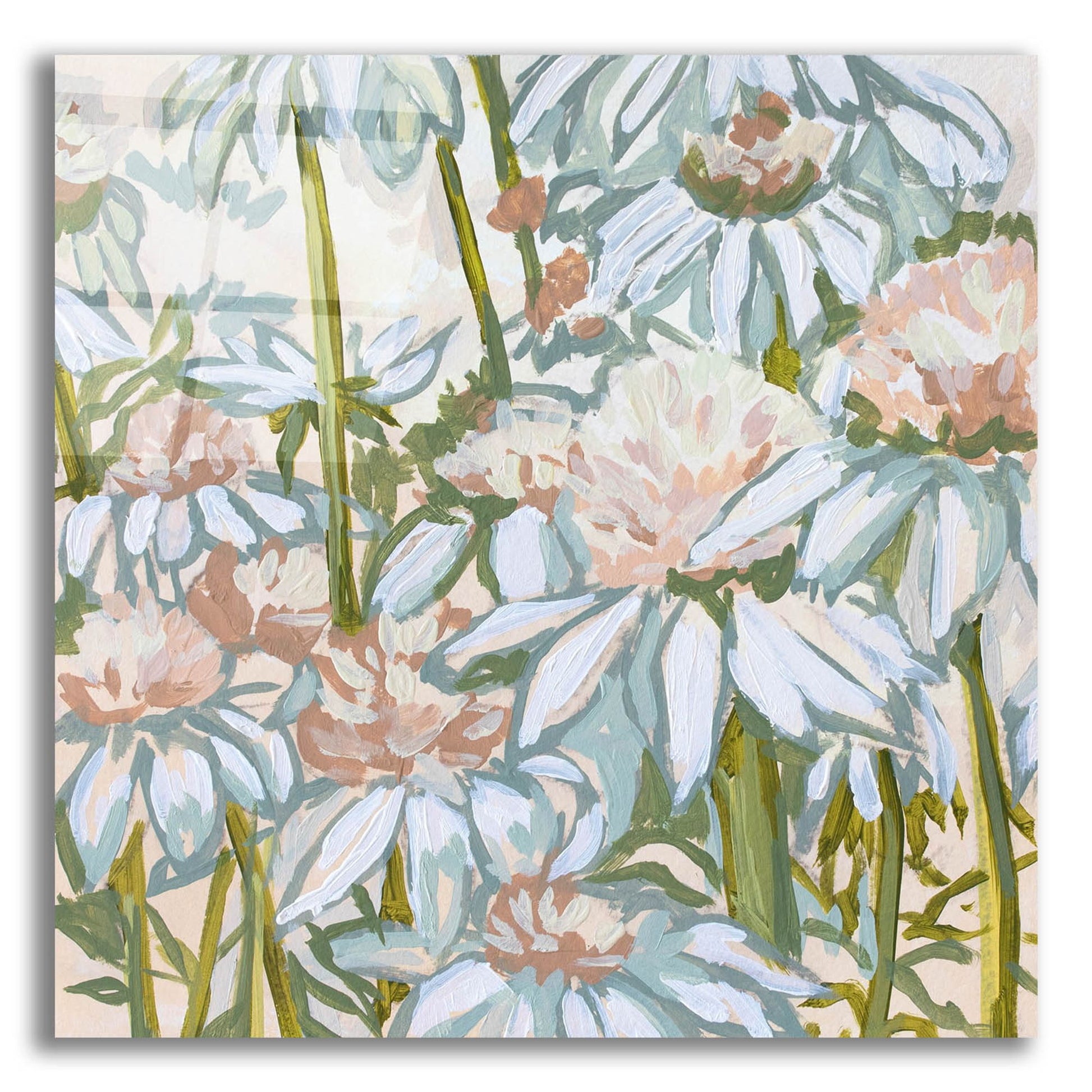 Epic Art 'Echinacea at Dawn' by Victoria Macmillan, Acrylic Glass Wall Art