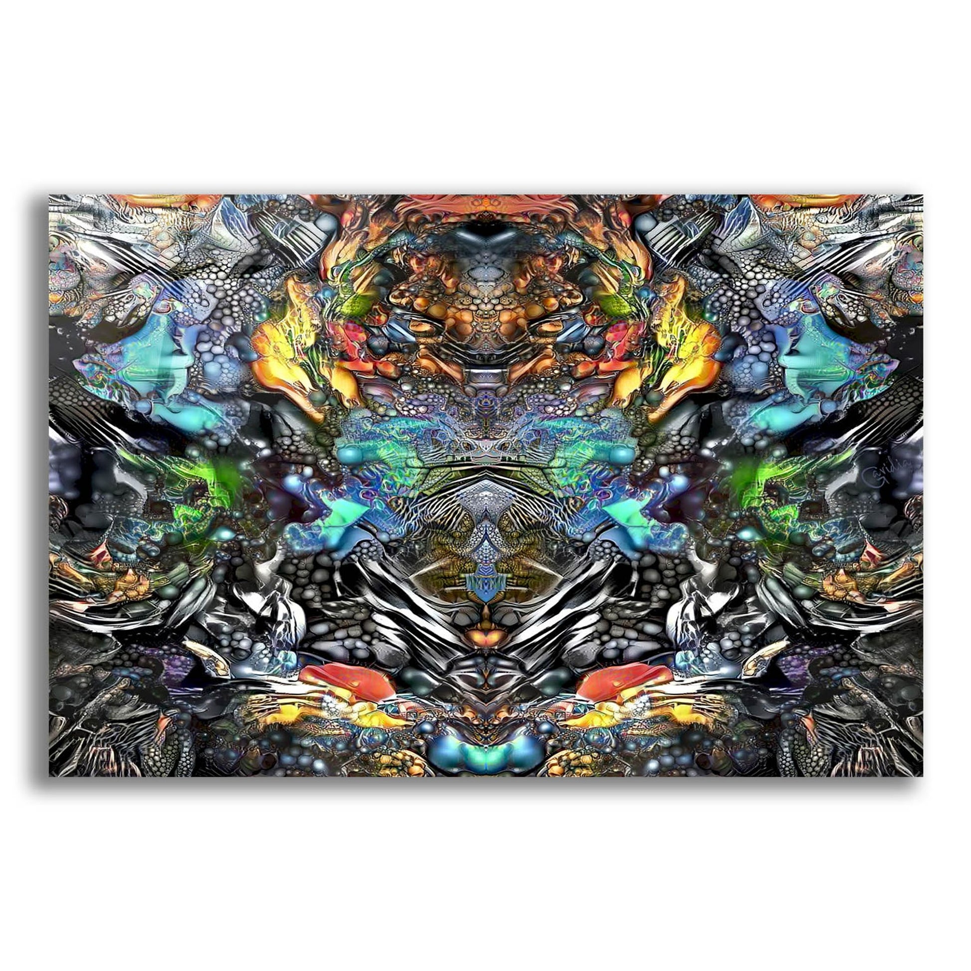 Epic Art 'Evolution' by Pedro Gavidia, Acrylic Glass Wall Art,16x12