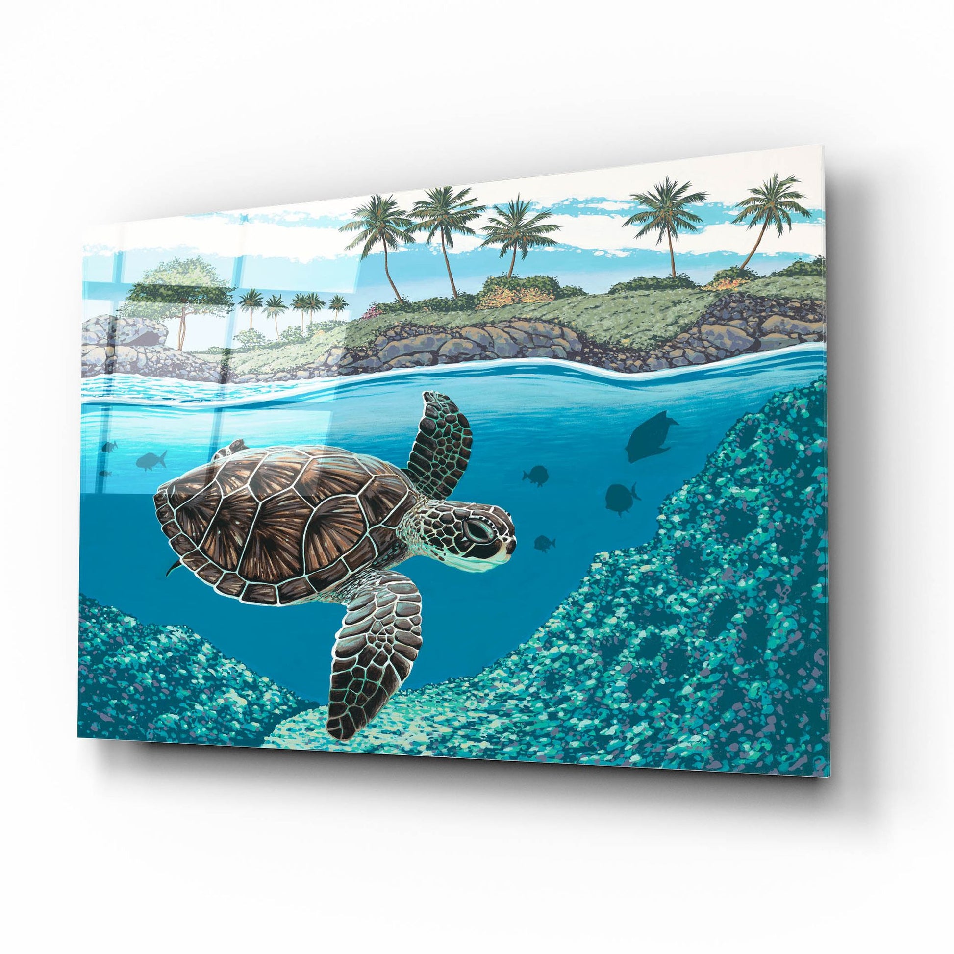 Epic Art 'Sea Turtle' by Palmer Artworks, Acrylic Glass Wall Art,16x12