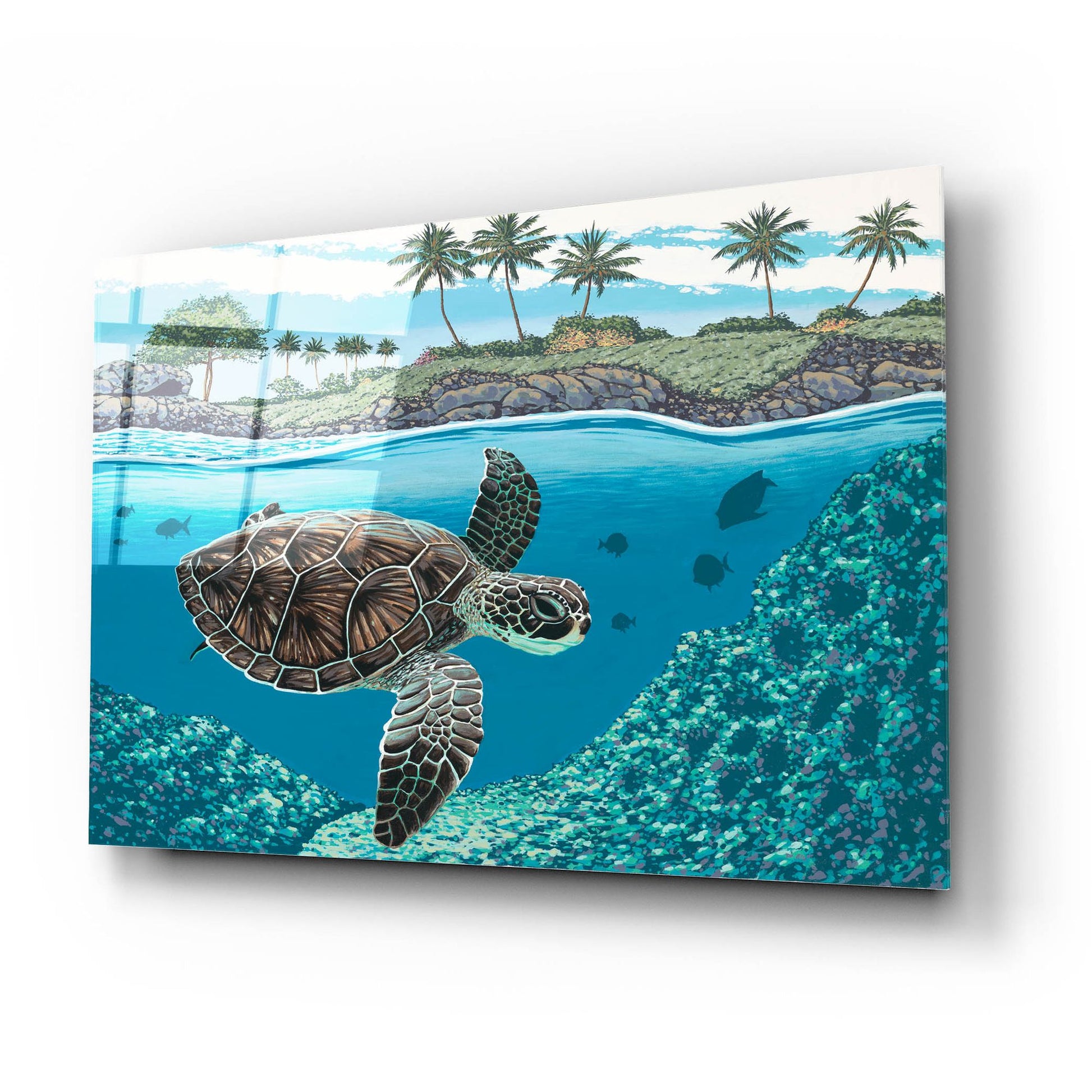 Epic Art 'Sea Turtle' by Palmer Artworks, Acrylic Glass Wall Art,24x16