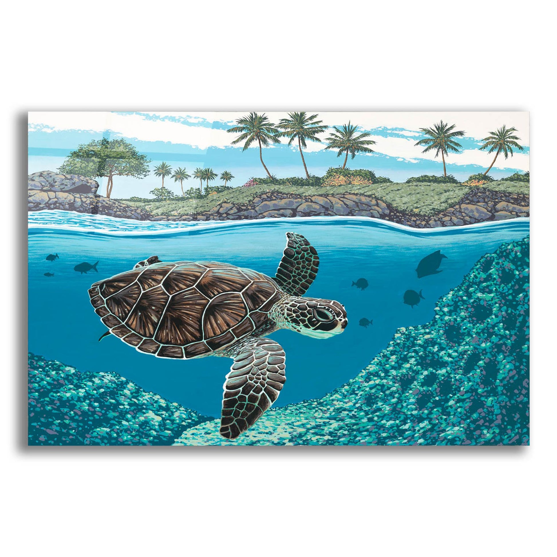 Epic Art 'Sea Turtle' by Palmer Artworks, Acrylic Glass Wall Art,24x16