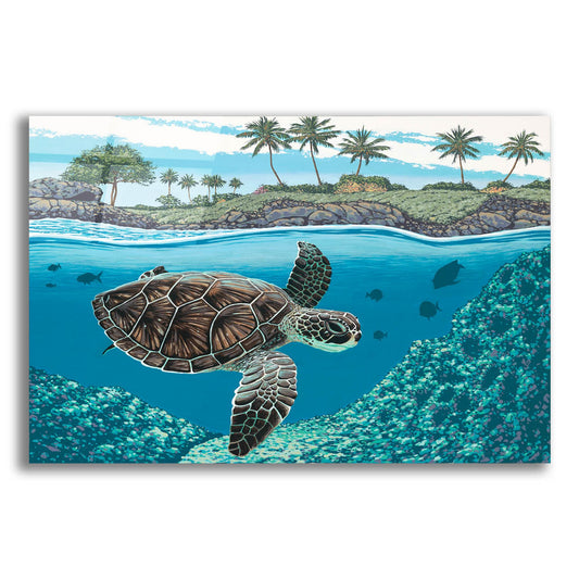 Epic Art 'Sea Turtle' by Palmer Artworks, Acrylic Glass Wall Art