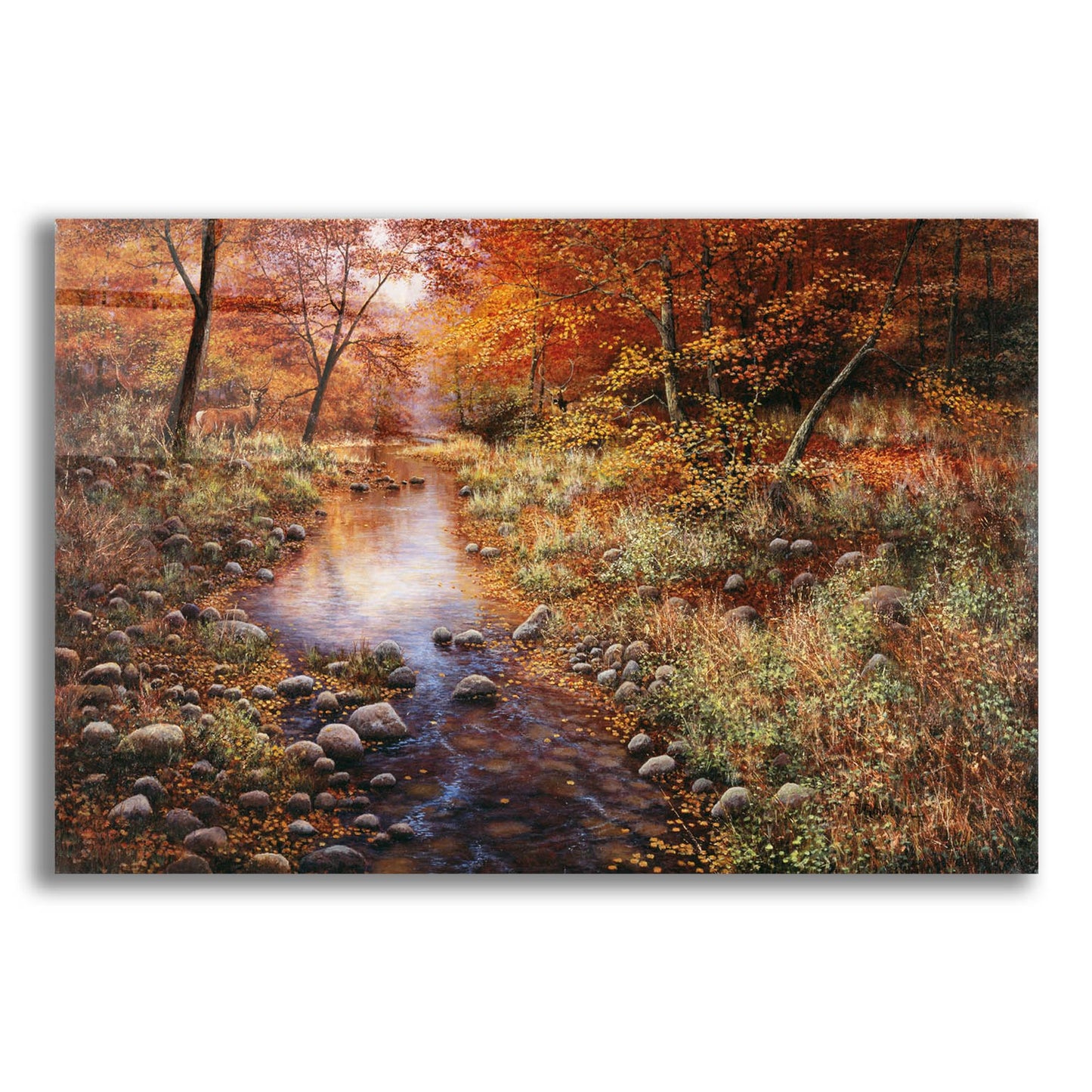 Epic Art 'Autumn Gold' by Bill Makinson, Acrylic Glass Wall Art