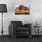 Red Barn by Bill Makinson - 24x16 acrylic wall art in a room