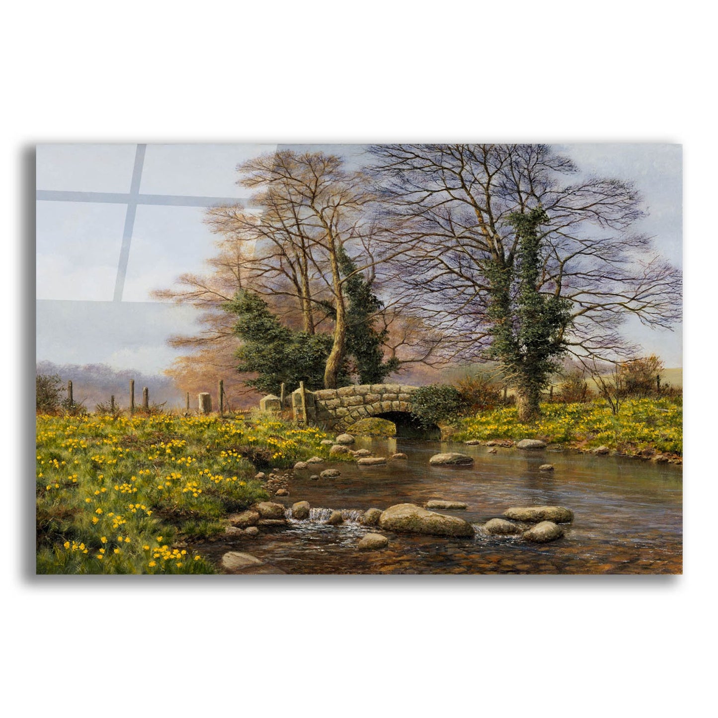 Epic Art 'Daffodil Bridge' by Bill Makinson, Acrylic Glass Wall Art