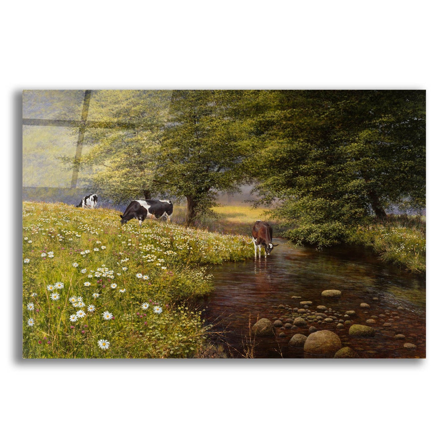 Epic Art 'Cattle By The Stream' by Bill Makinson, Acrylic Glass Wall Art