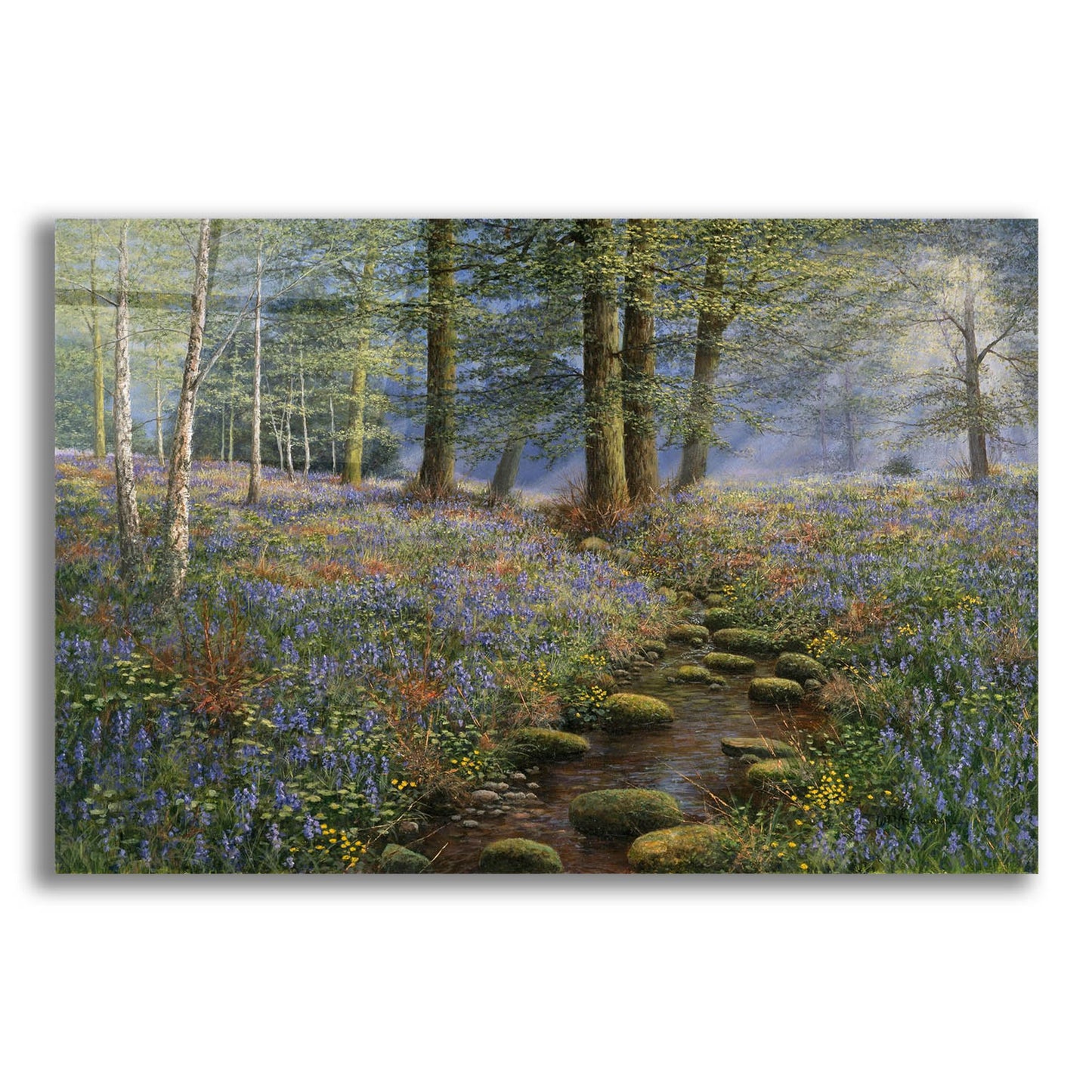 Epic Art 'Bluebell Wood' by Bill Makinson, Acrylic Glass Wall Art