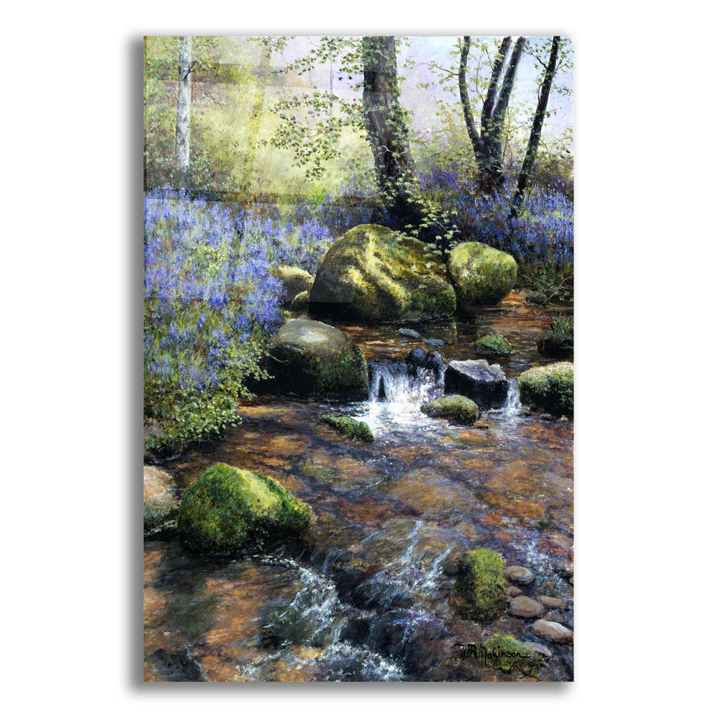 Shallow Brook by Bill Makinson acrylic glass wall art