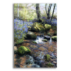 Shallow Brook by Bill Makinson acrylic glass wall art