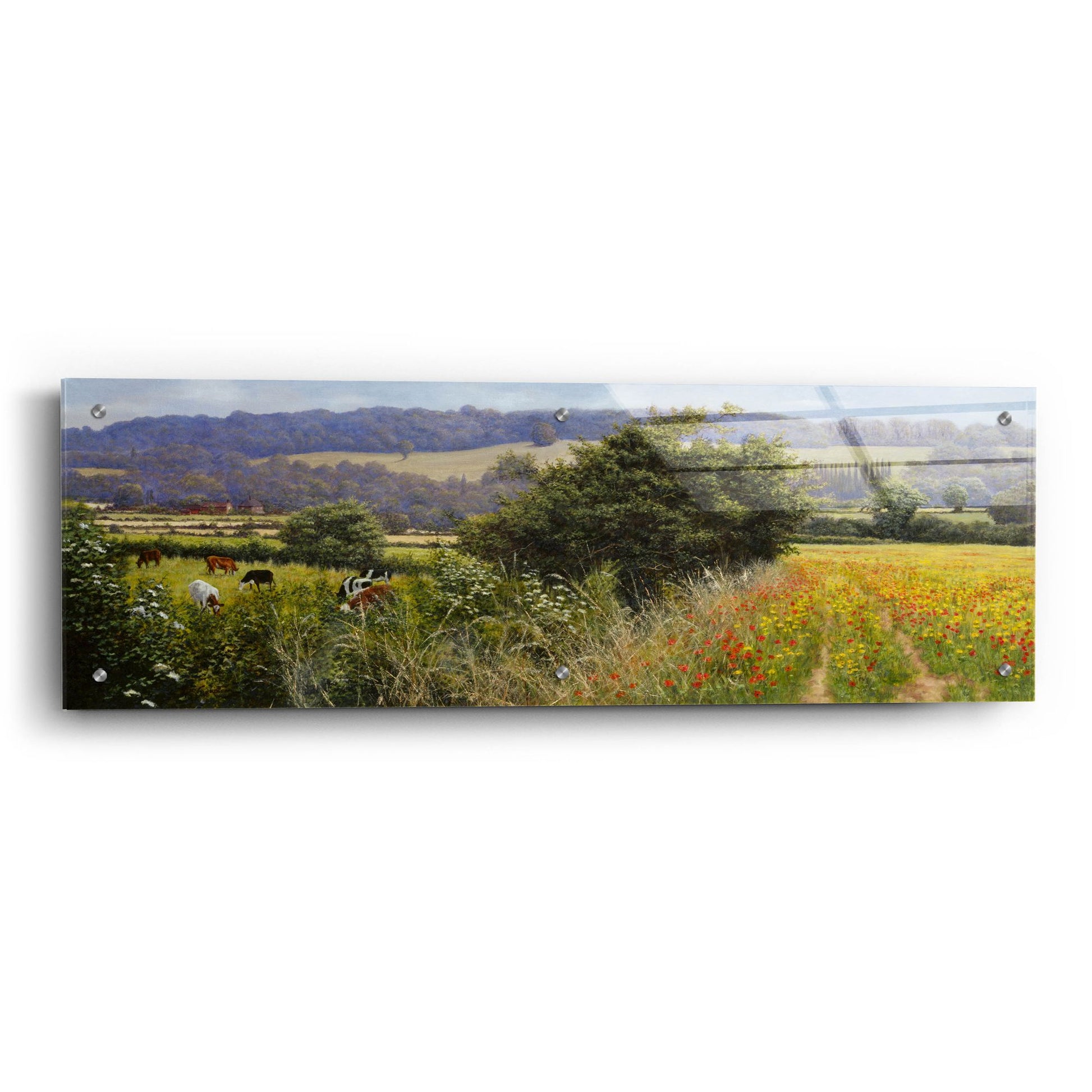 Epic Art 'Poppies' by Bill Makinson, Acrylic Glass Wall Art,36x12